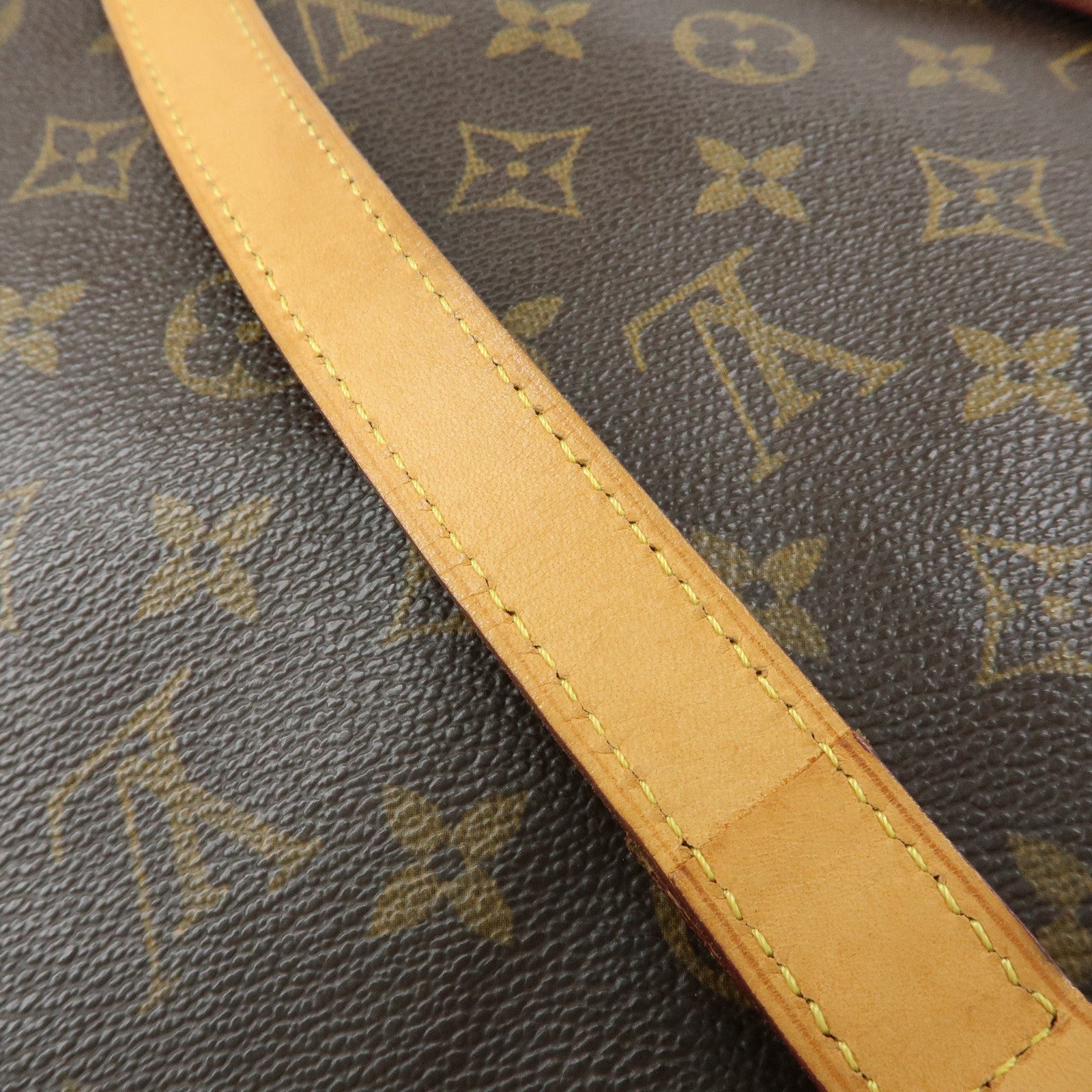 Louis Vuitton Monogram Vavin GM Tote Bag Hand Bag Brown M51170