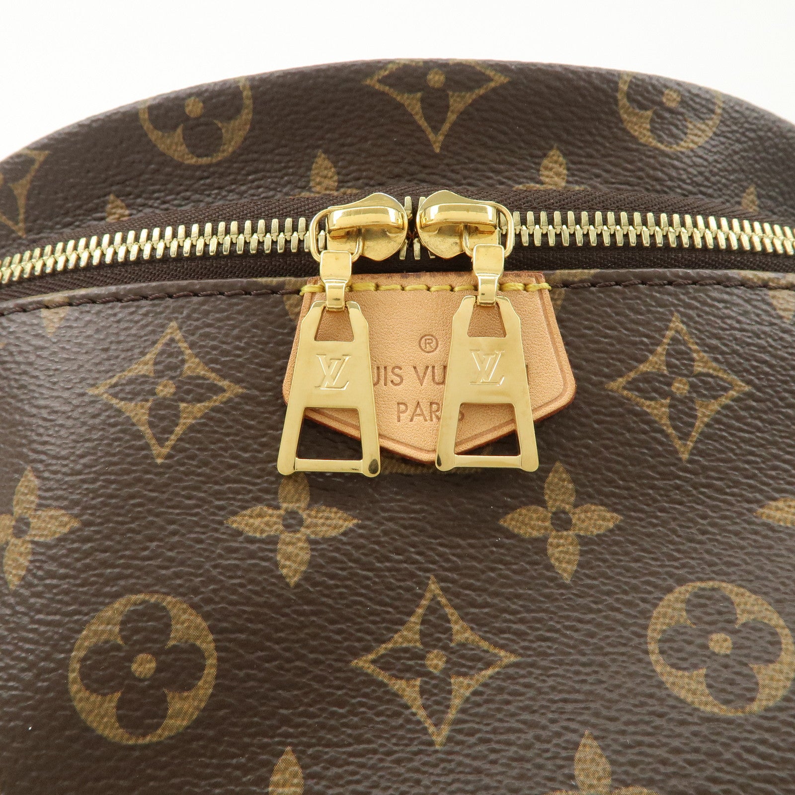 Louis Vuitton Monogram Bumbag Crossbody Bag Brown M43644 Used