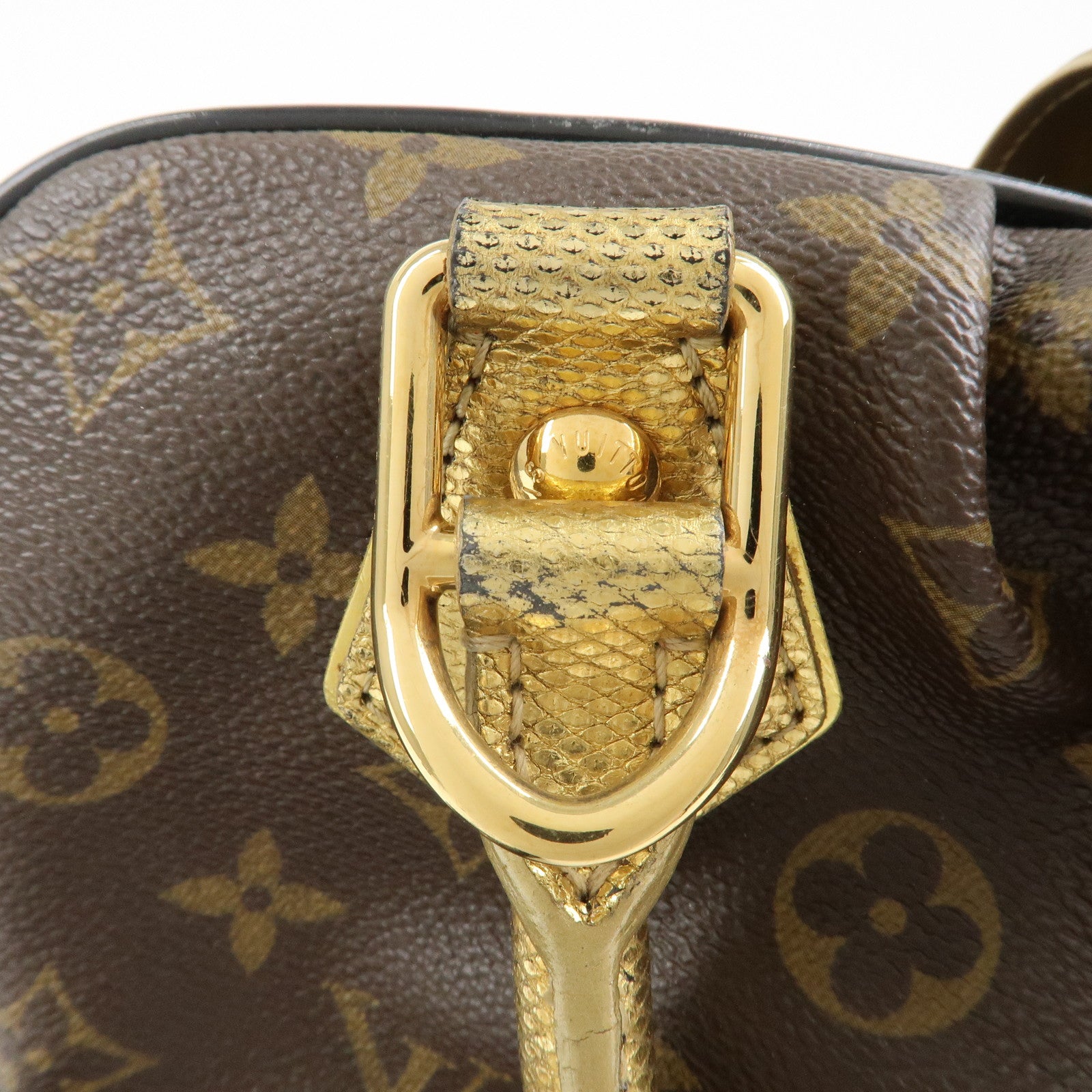 Louis Vuitton Adele Monogram Leopard Calf Leather 2 Way bag M95284