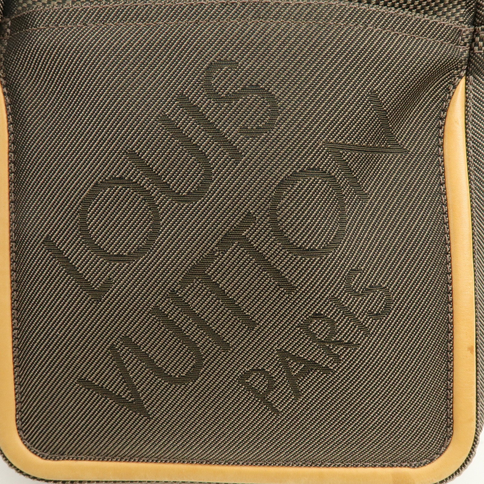 Louis Vuitton Damier Geant Citadin Shoulder Bag Terre M93040