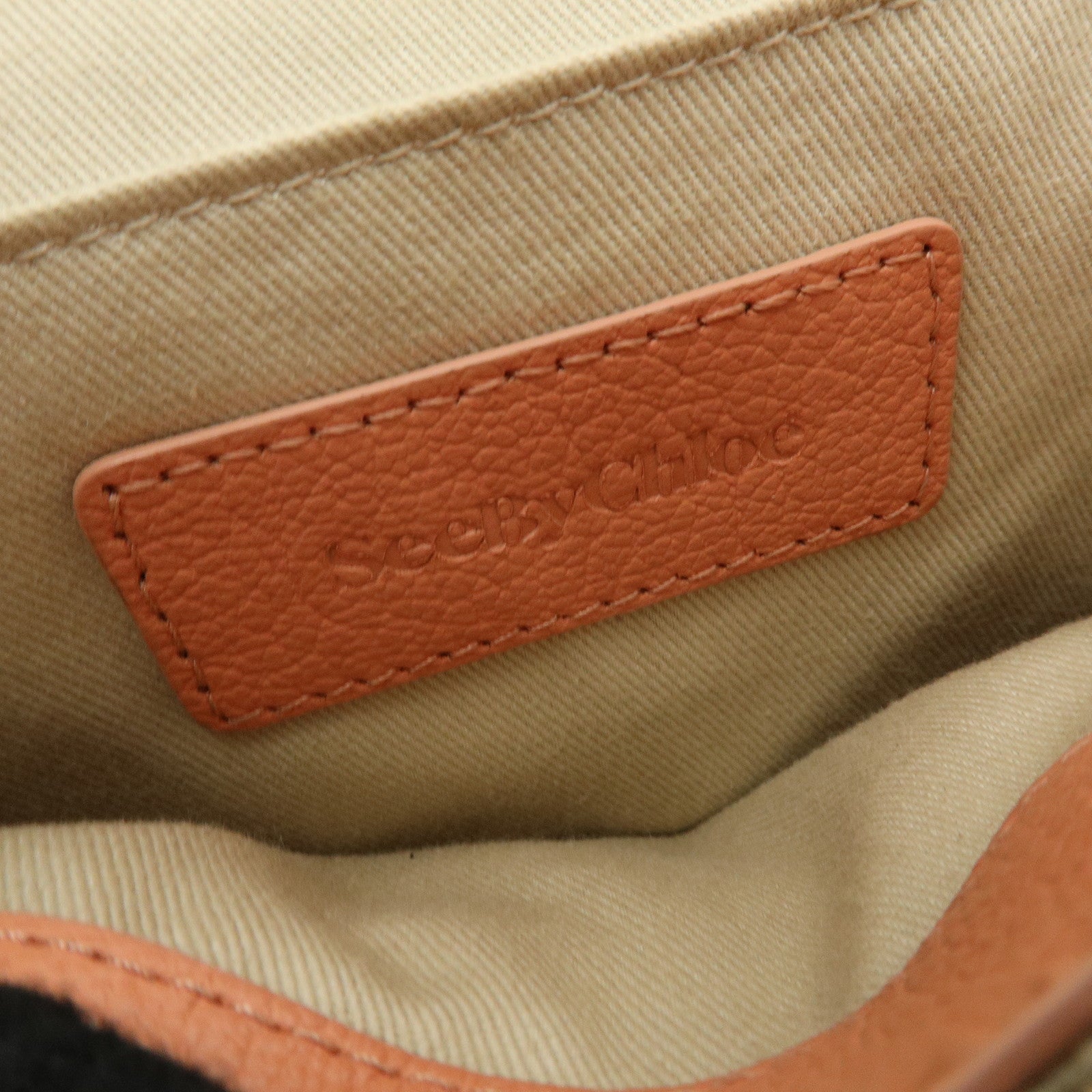 Chloe See By Chloe Joan Suede Leather Shoulder Crossbody Bag Pink