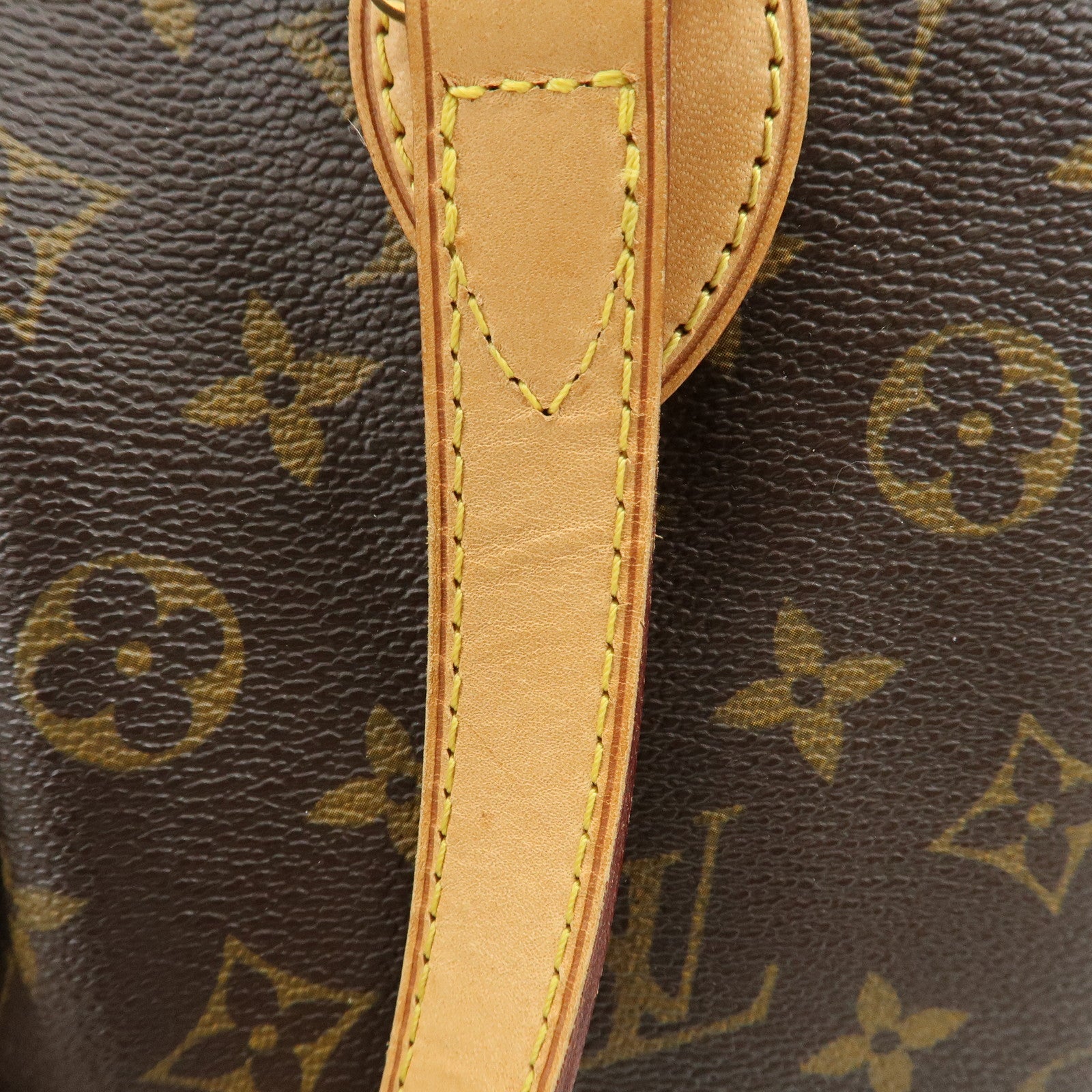 Louis Vuitton Monogram Palermo PM 2Way Hand Bag Brown M40145