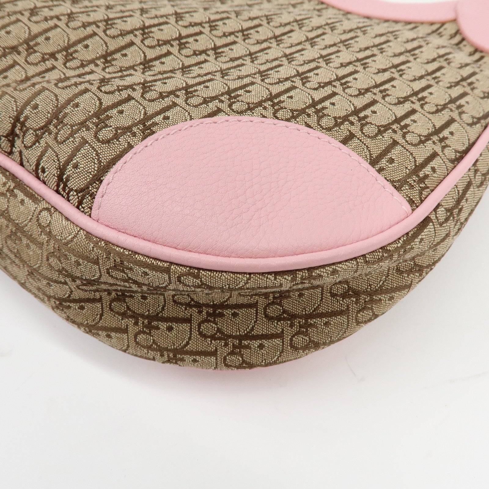 Christian Dior Street Chic Trotter Canvas Leather Shoulder Bag