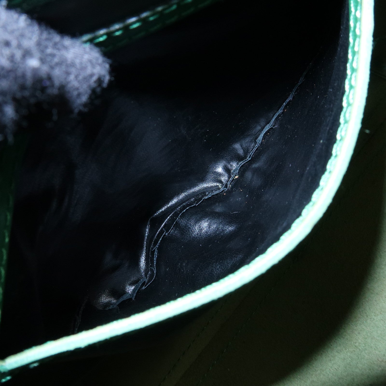 Louis Vuitton Epi Speedy 25 Hand Bag Boston Bag Borneo Green M43014