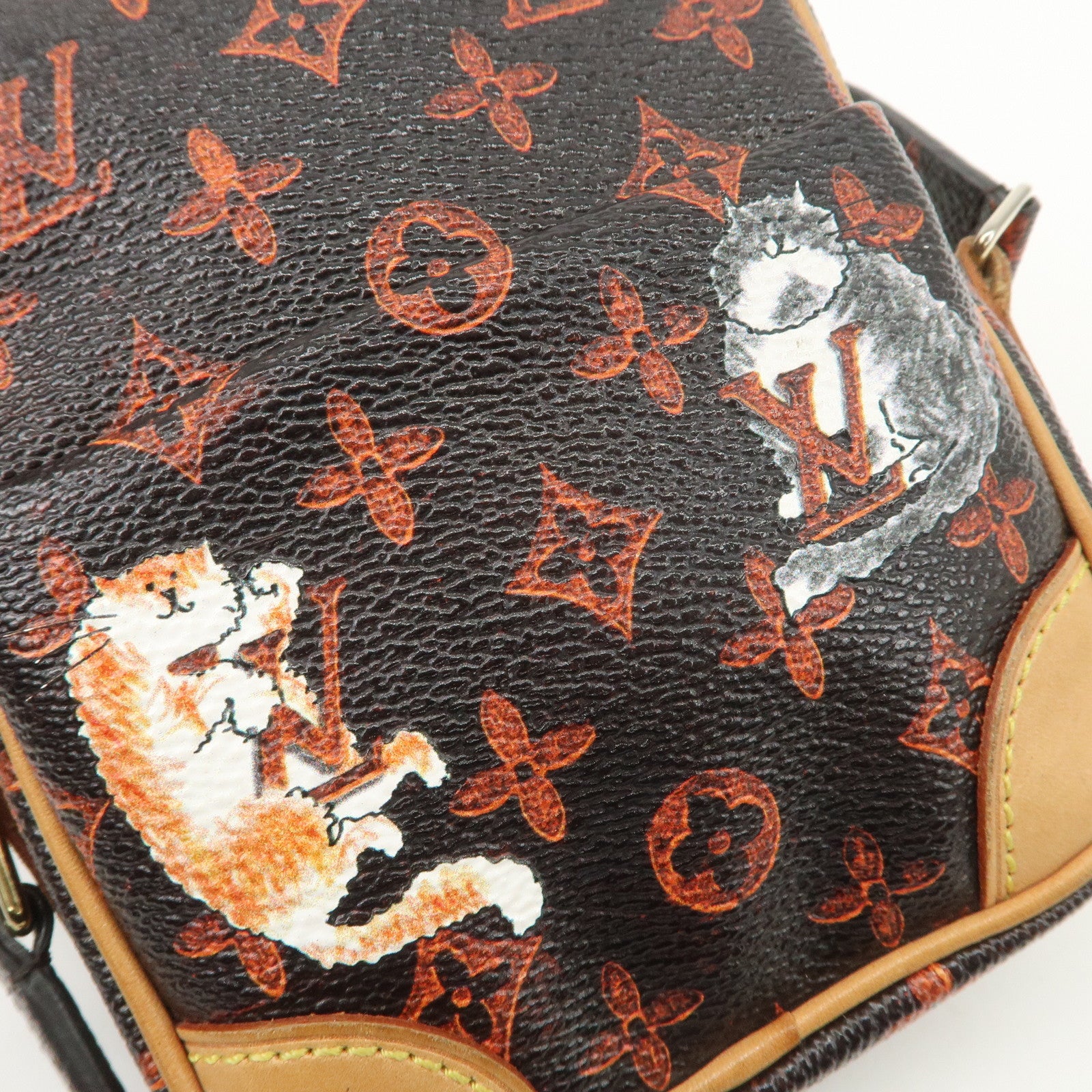 Louis Vuitton Catogram Paname Shoulder Bag Crossbody Bag Brown M44399