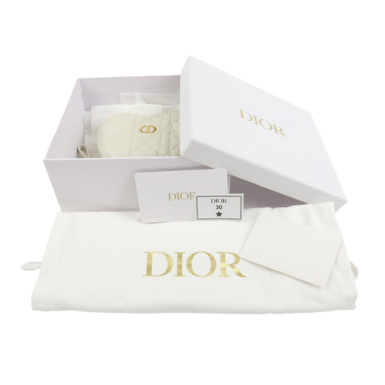 Christian Dior Canage Calf Skin Mini Chain Shoulder Bag Ivory