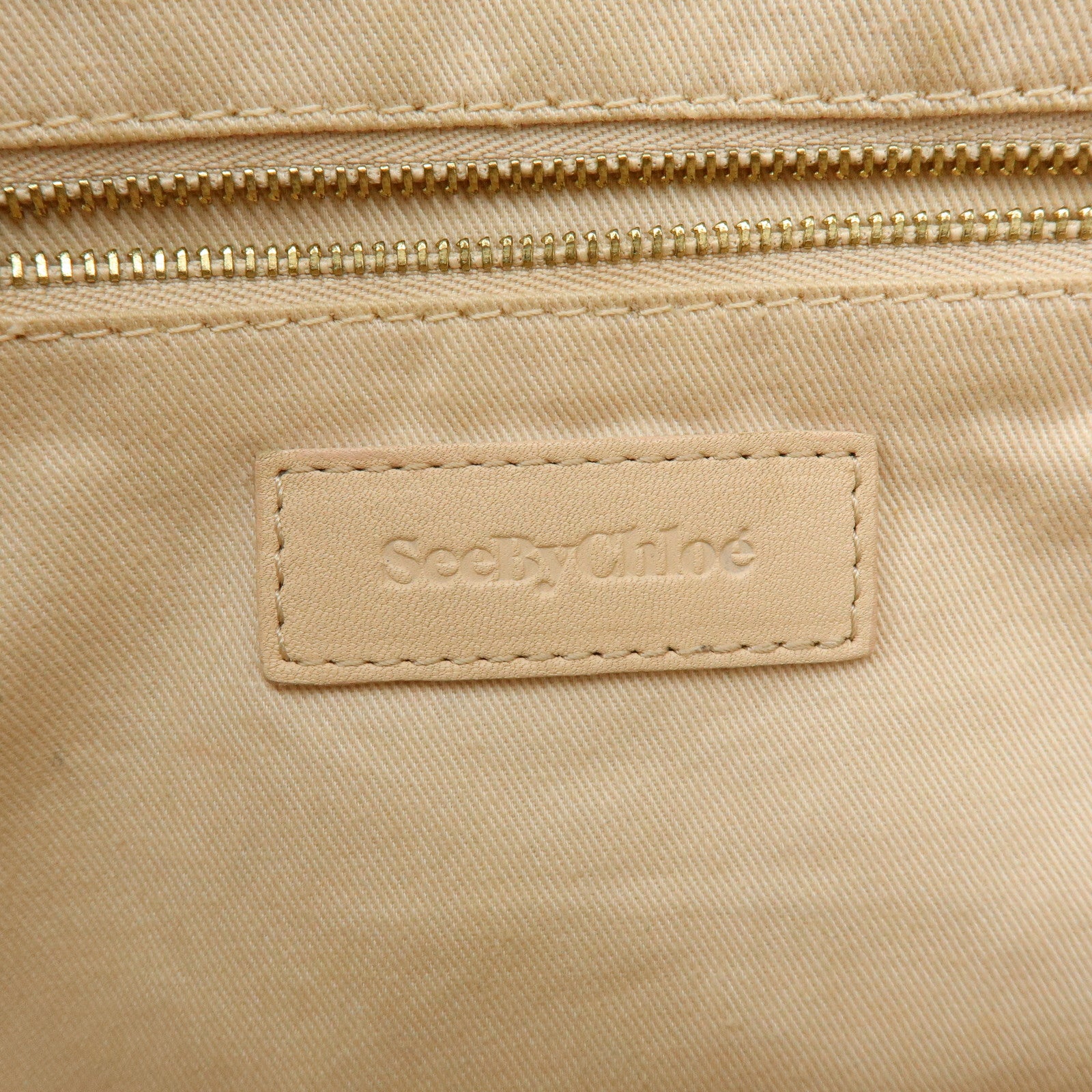 Chloe See by Chloe Paige Leather 2Way Bag Shoulder Bag Light Pink