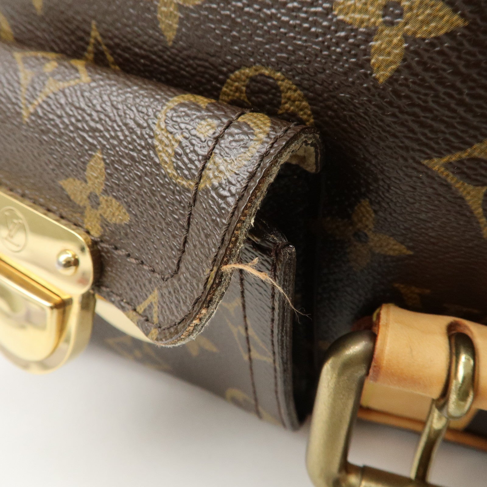 Louis Vuitton Monogram Hudson PM Shoulder Bag Brown M40047