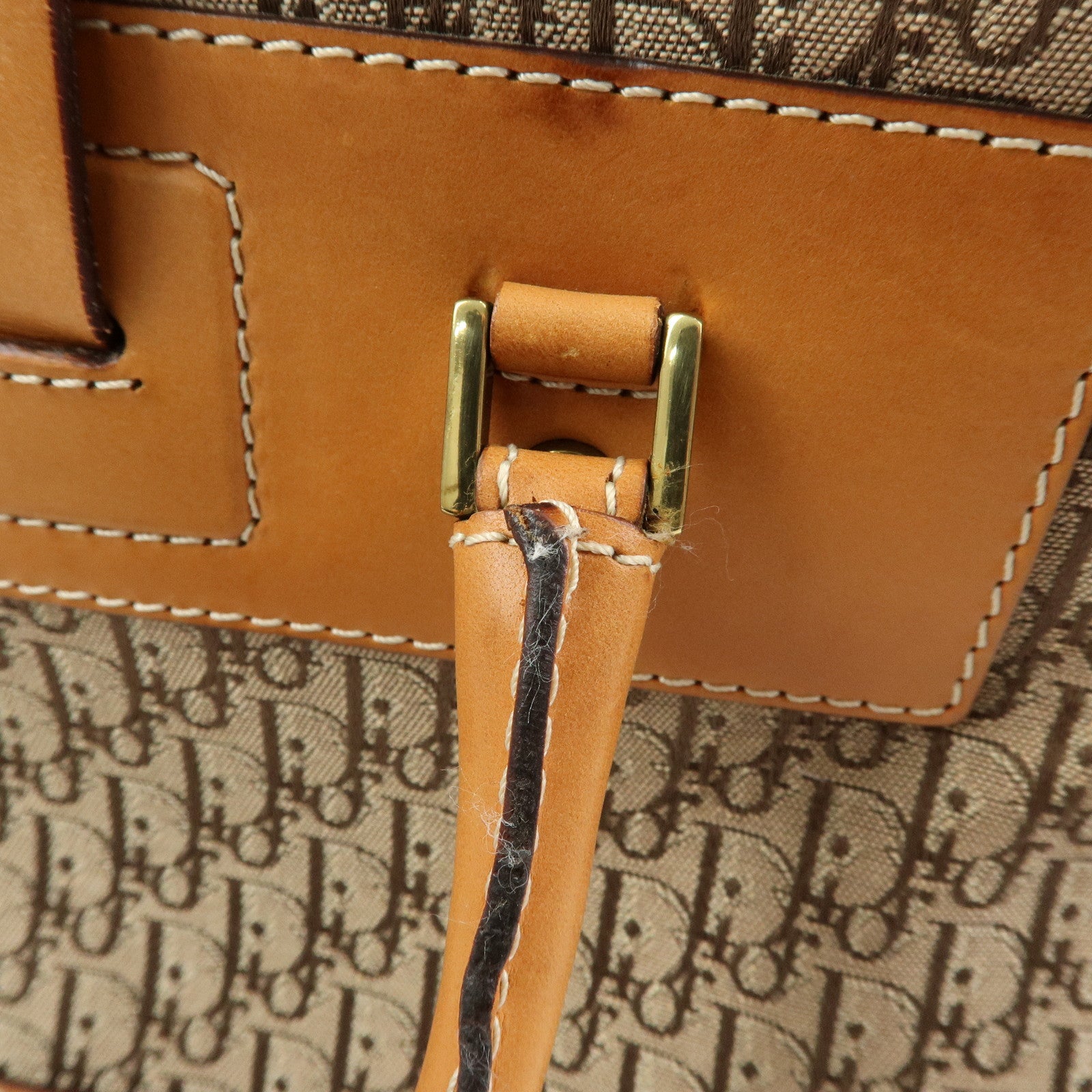 Christian Dior Trotter Street Chic Canvas Leather Hand Bag Camel