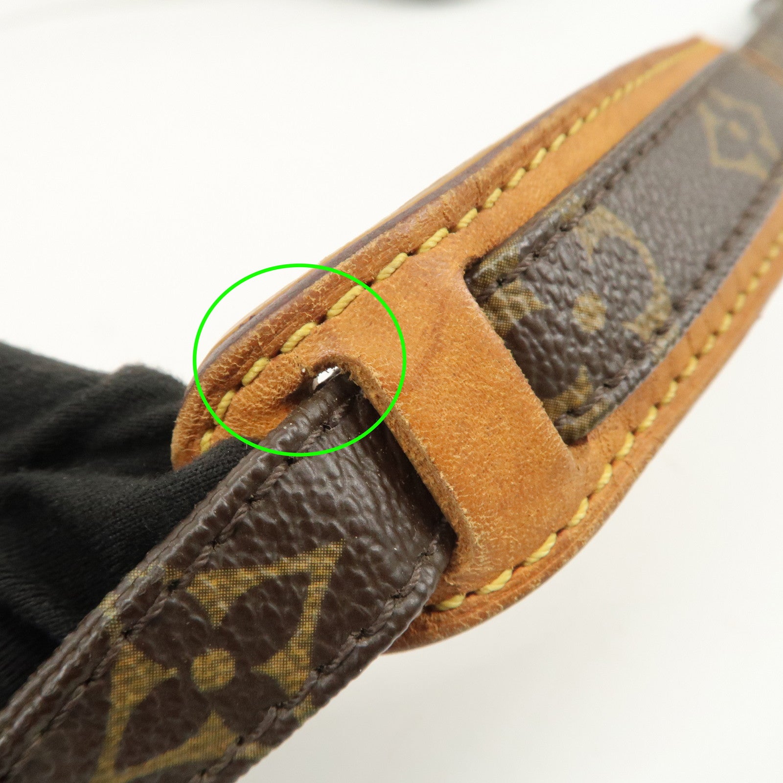 Louis Vuitton Monogram Danube Shoulder Bag Crossbody Bag M45266