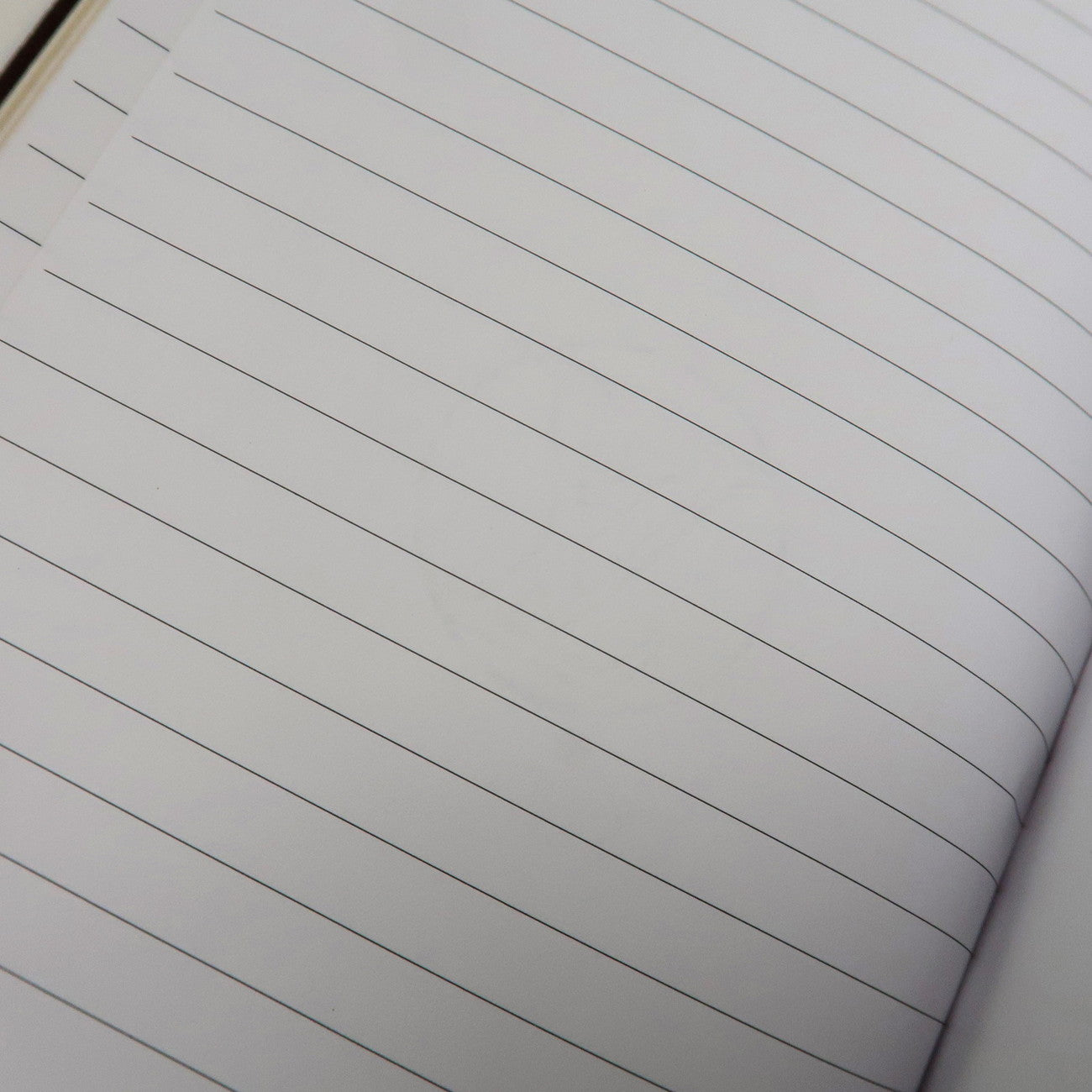 Louis Vuitton Monogram Monogram Canvas Monogram GI0767