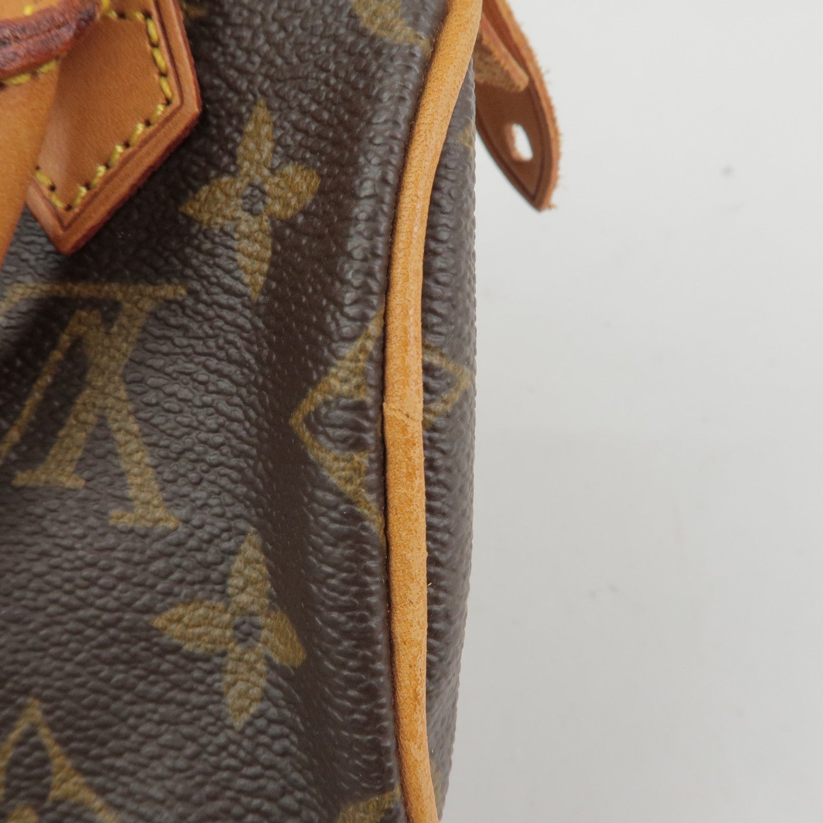 Louis Vuitton Monogram Mini Speedy Hand Bag Brown M41534