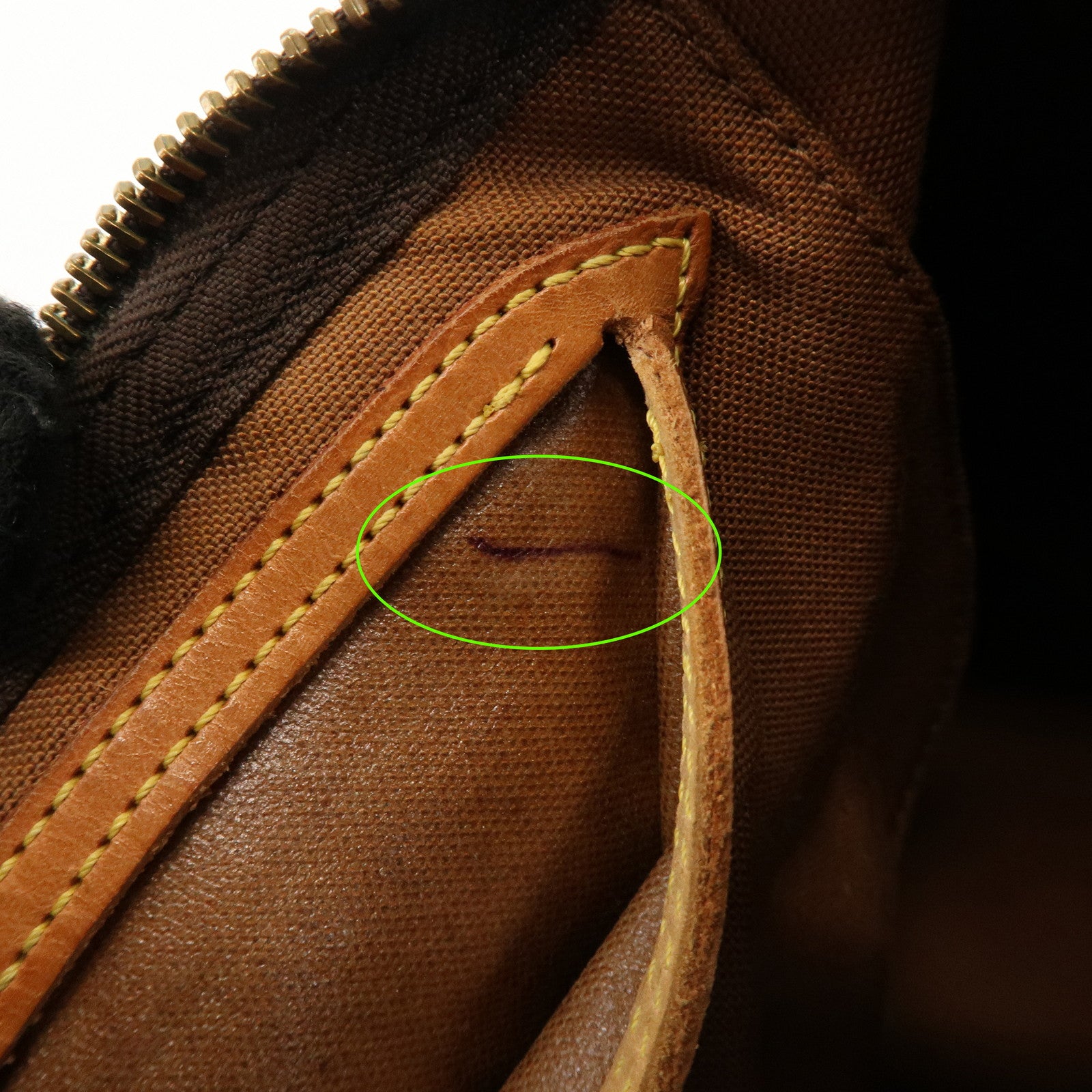 Louis Vuitton Monogram Speedy 25 Boston Bag Hand Bag Brown M41528