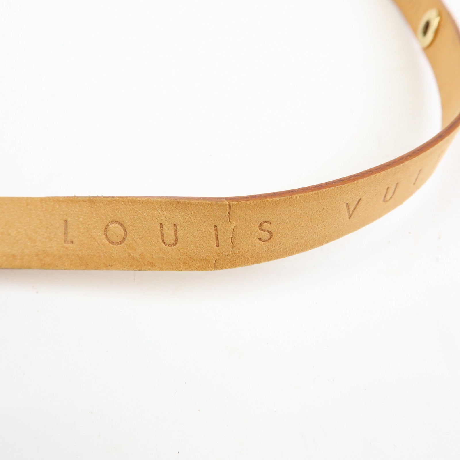 Louis Vuitton Monogram Pochette Florentine Waist Bag Belt S M51855