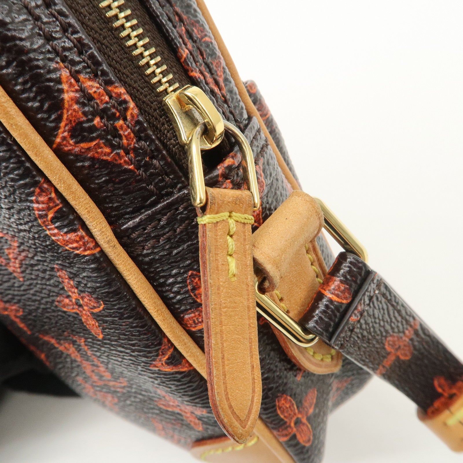 Louis Vuitton Catogram Paname Shoulder Bag Crossbody Bag Brown M44399