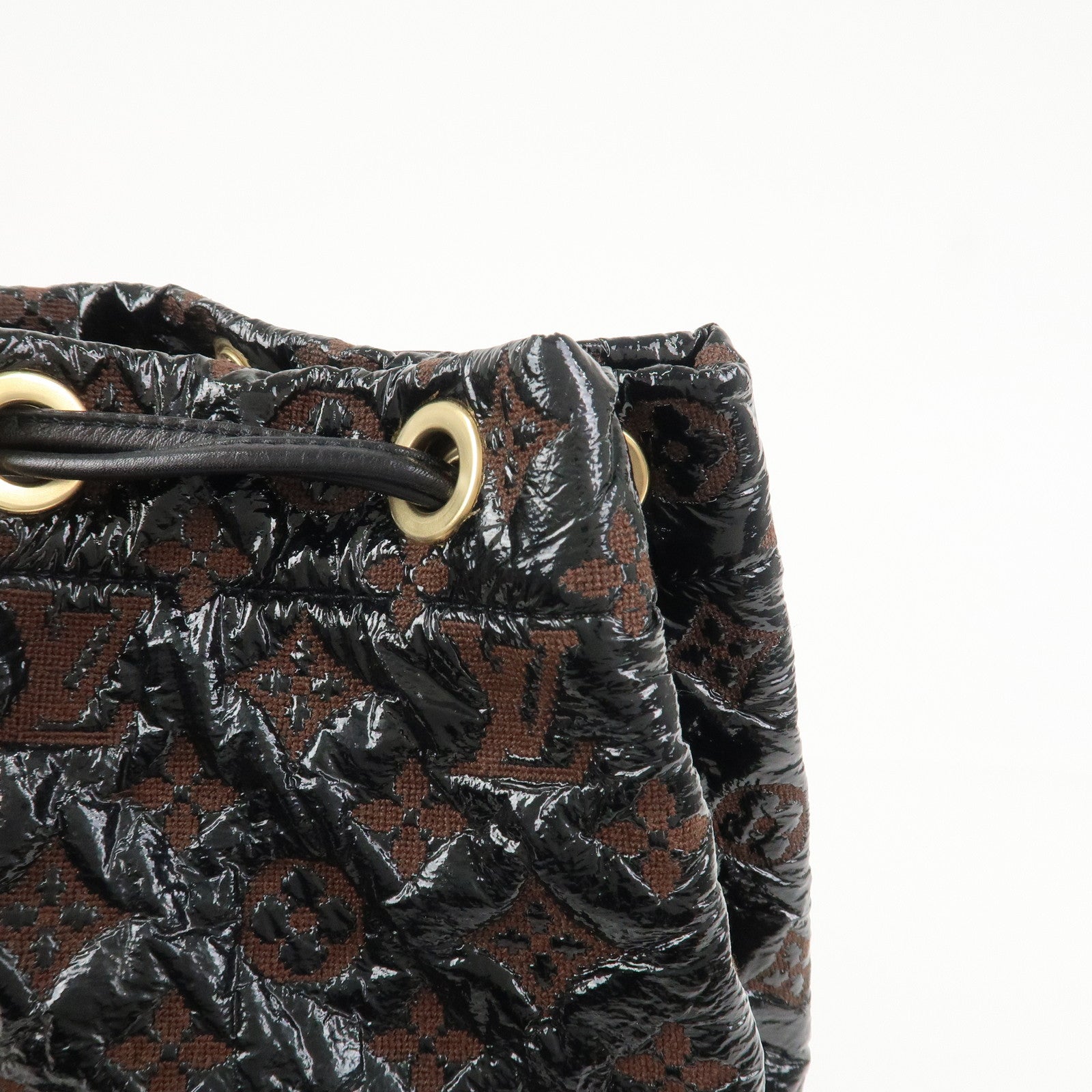 Louis Vuitton Squeech Monogram Elvinyl Shoulder Bag M95259