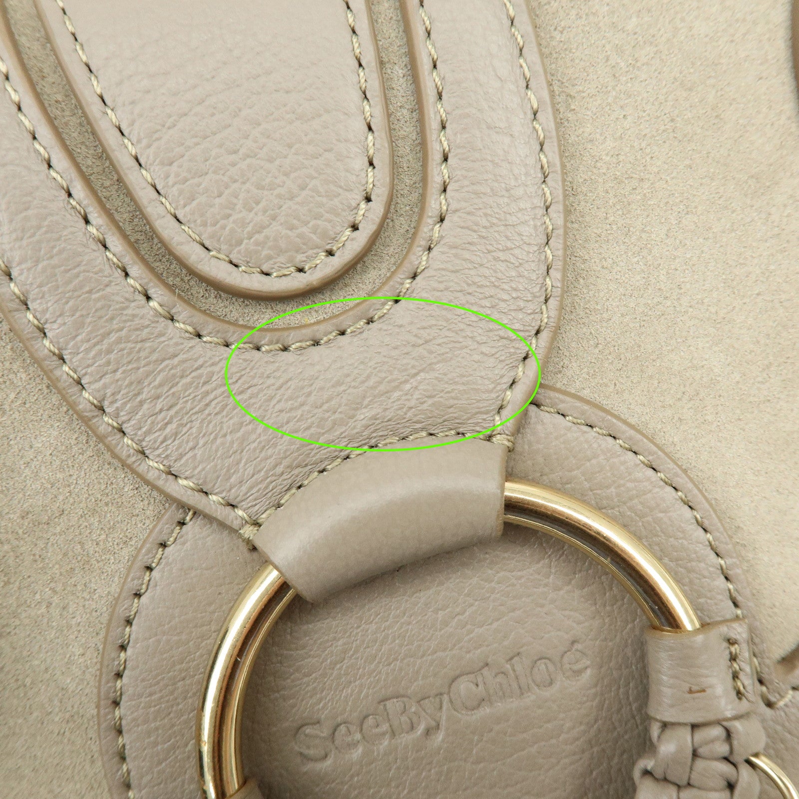 Chloe See By Chloe Hana Suede Leather Shoulder Crossbody Bag Greige