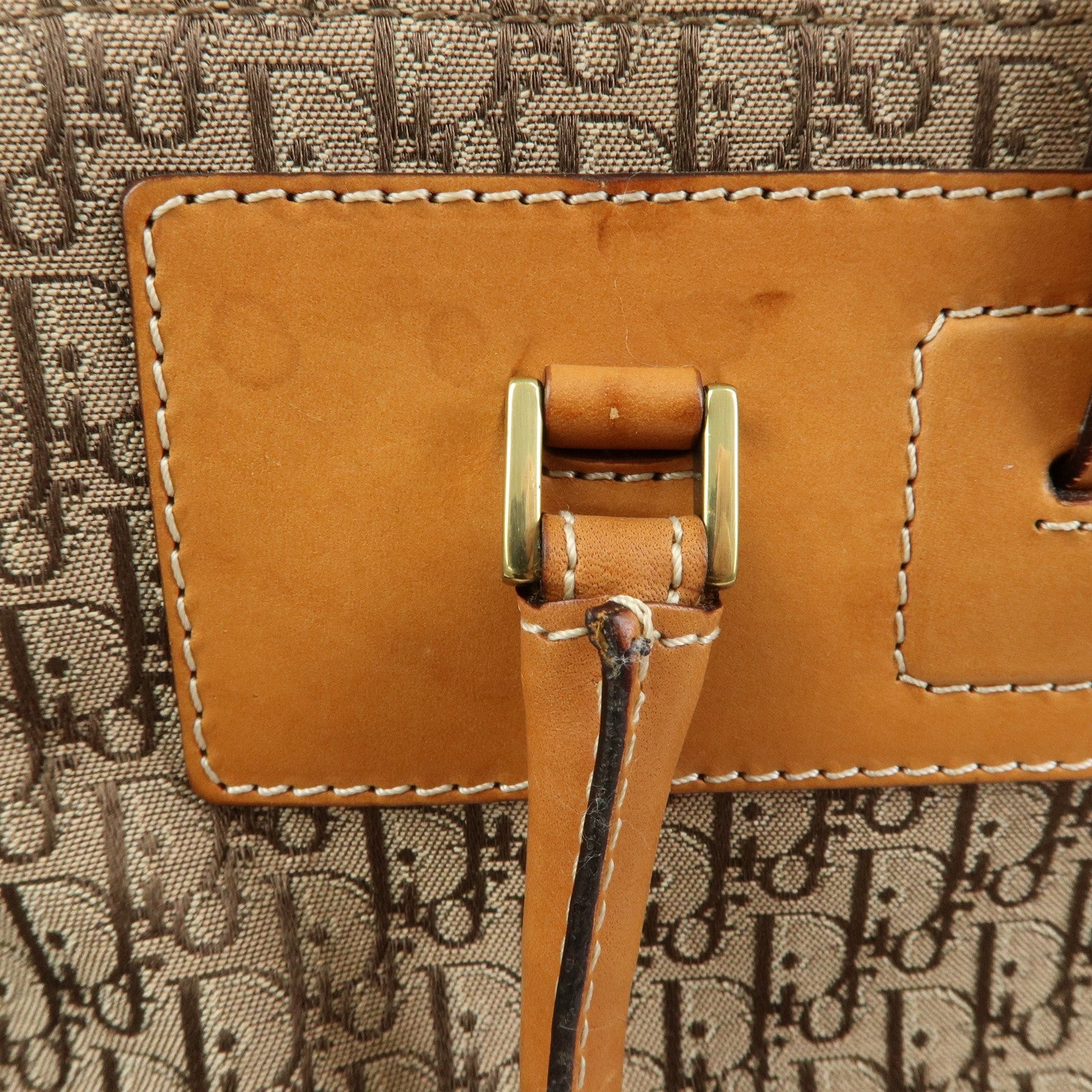 Christian Dior Trotter Street Chic Canvas Leather Hand Bag Camel