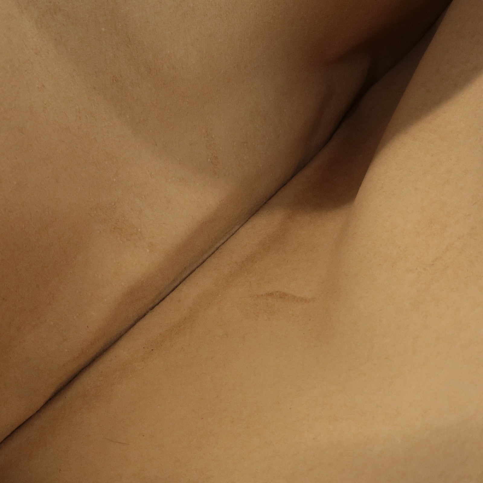 CELINE Suede Leather Studs Buggy Bag Hand Bag Pink Gold