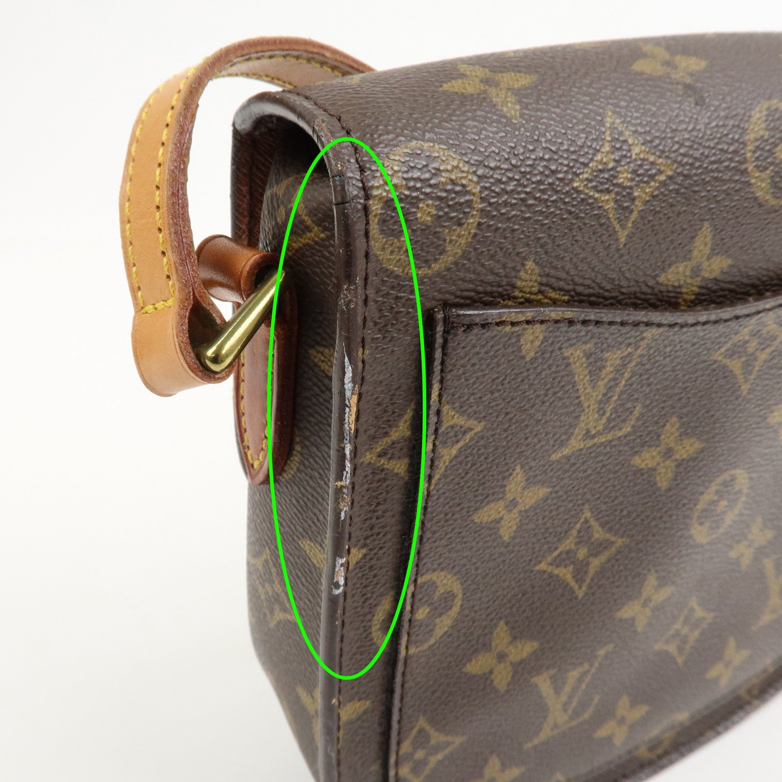 Louis Vuitton Monogram Mini Saint Cloud PM Shoulder Bag M51244