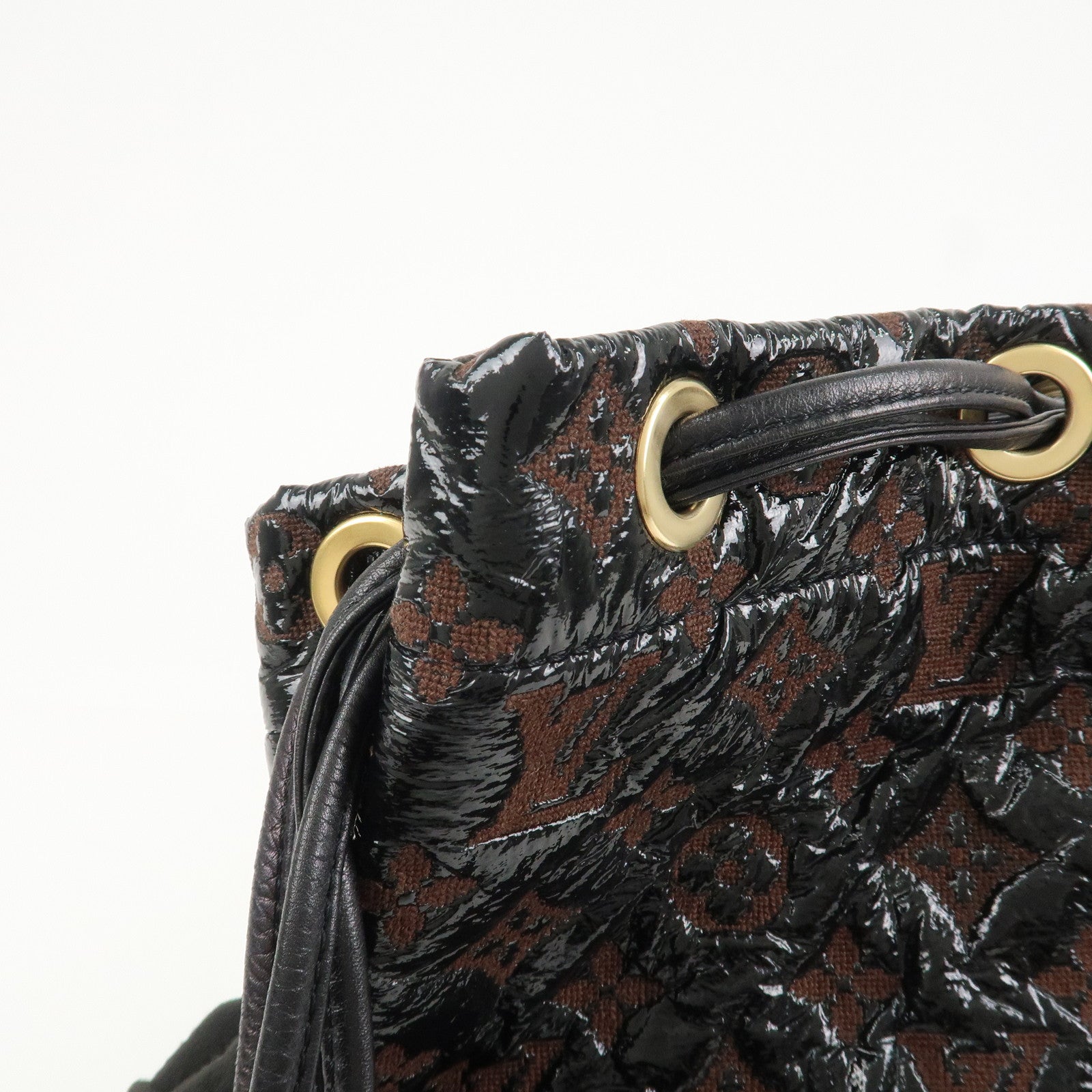 Louis Vuitton Squeech Monogram Elvinyl Shoulder Bag M95259