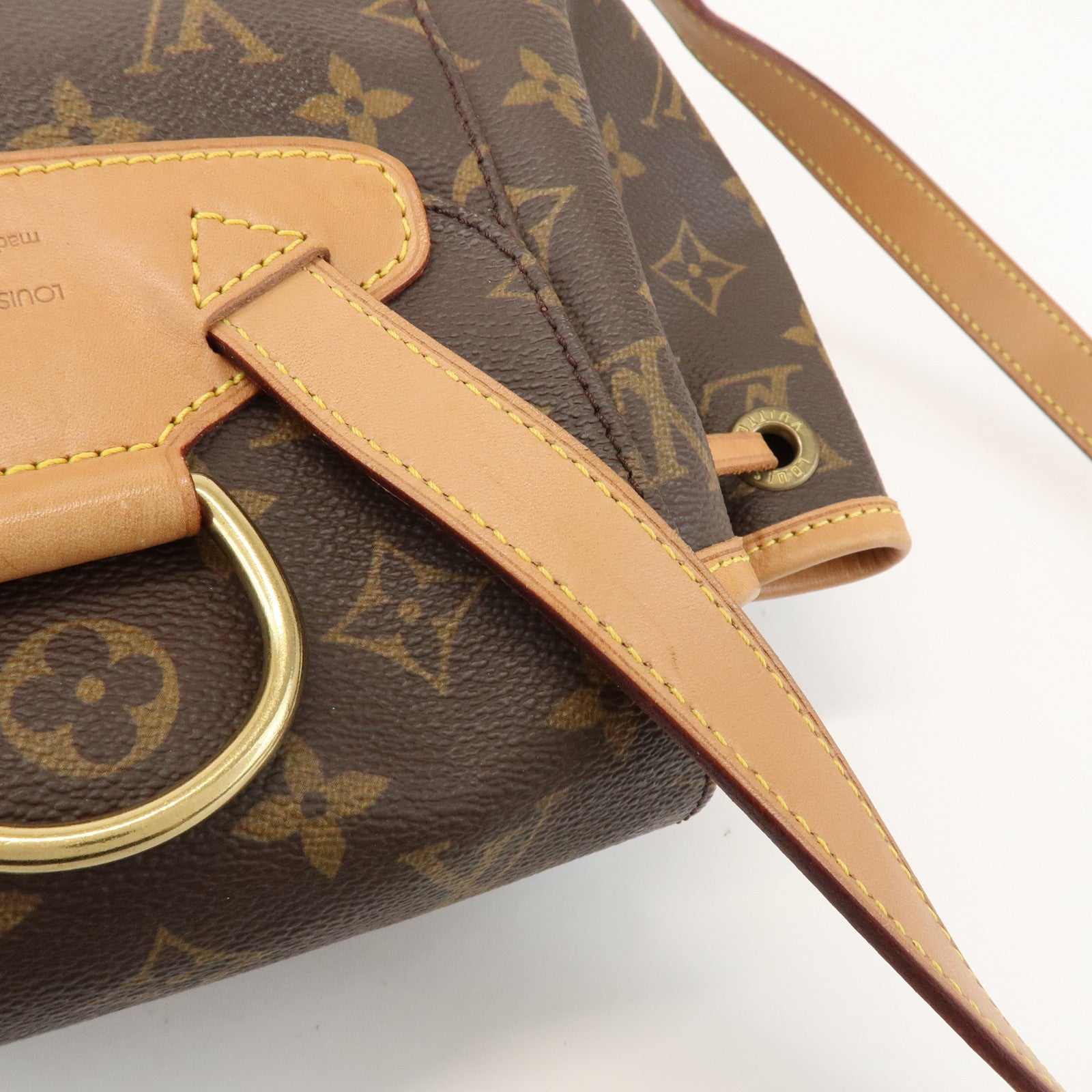 Louis Vuitton Monogram Montsouris MM Backpack Brown M51136