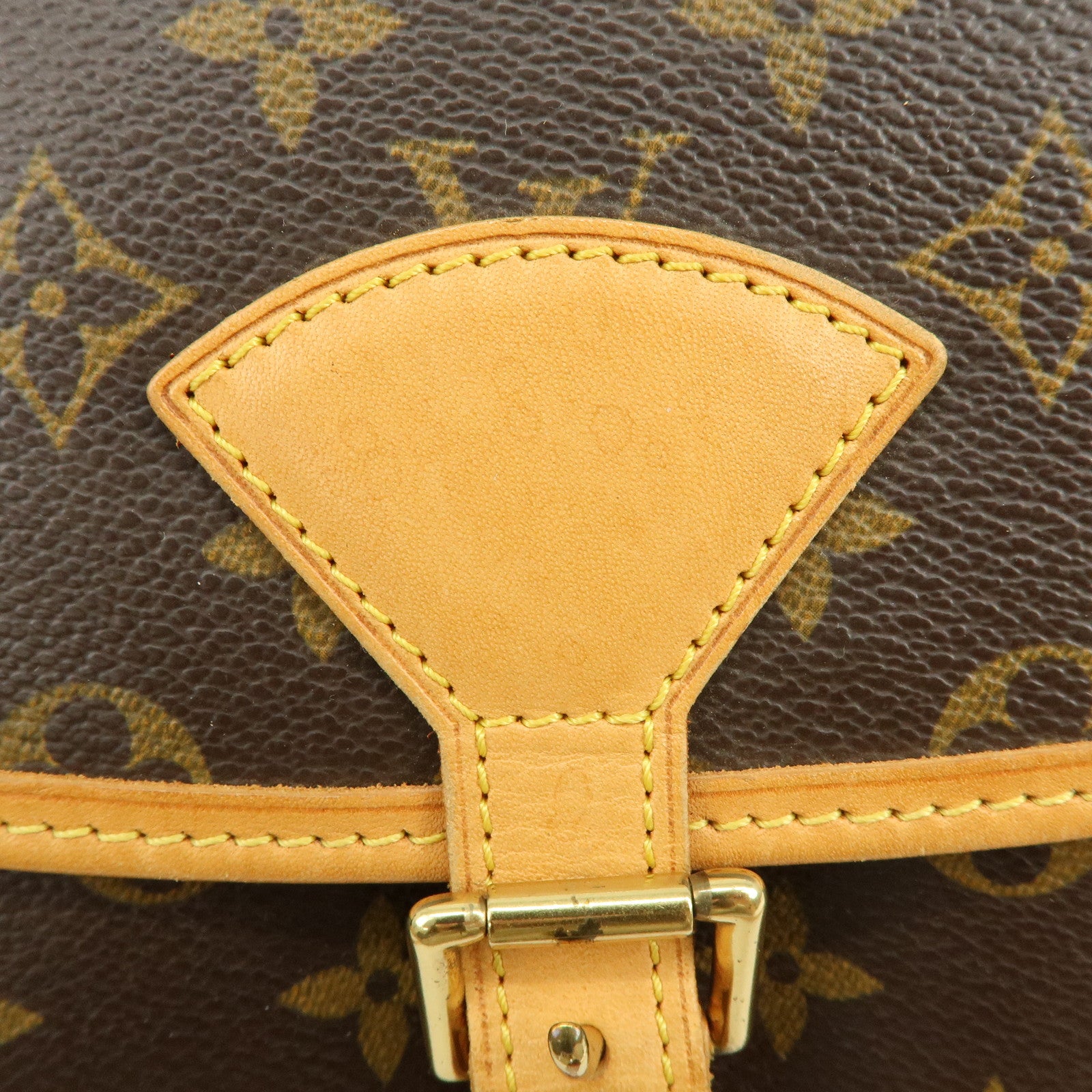 Louis Vuitton Monogram Sologne Canvas Shoulder Bag Brown M42250