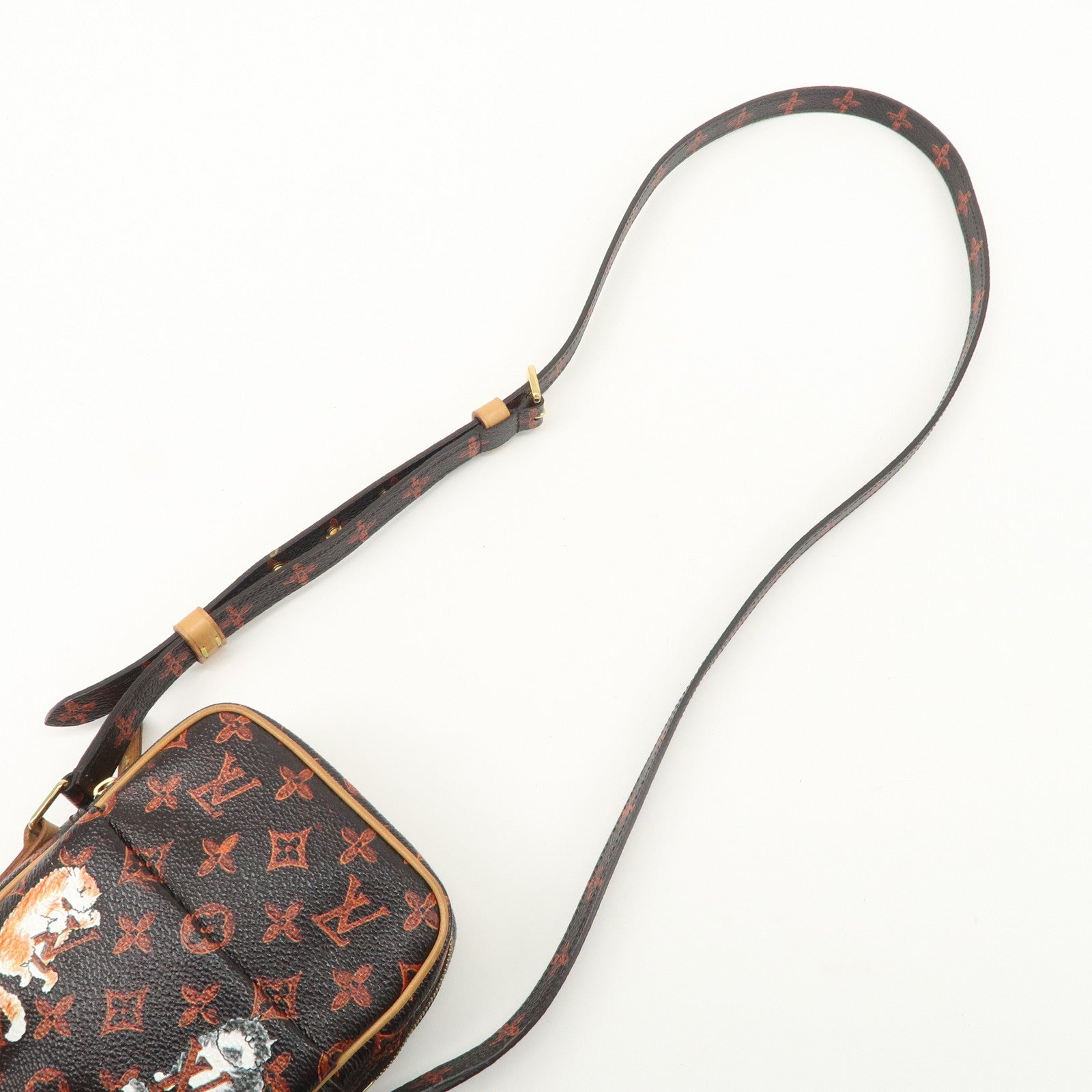 Louis Vuitton Catogram Paname Shoulder Bag Crossbody Bag Brown M44399