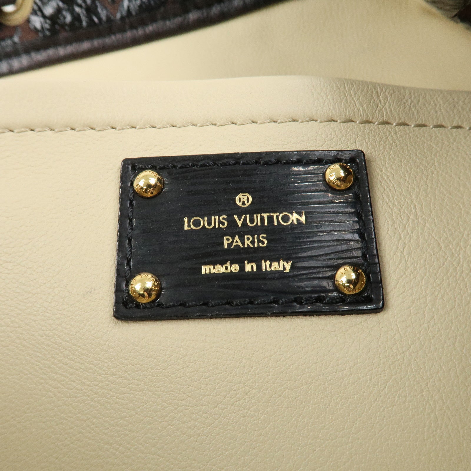Louis Vuitton Squeech Monogram Elvinyl Shoulder Bag M95259