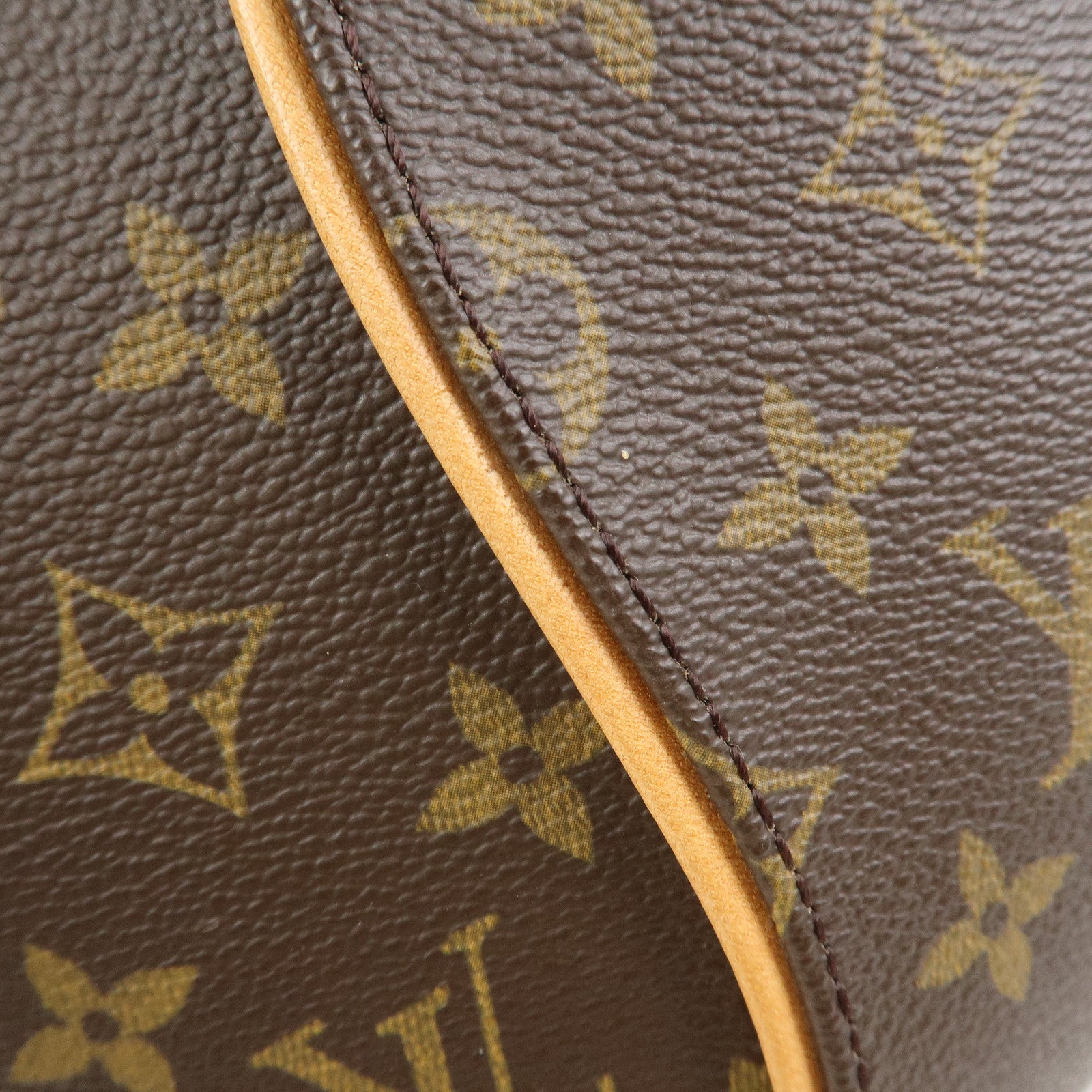 Louis Vuitton Monogram Ellipse MM Hand Bag Brown M51126