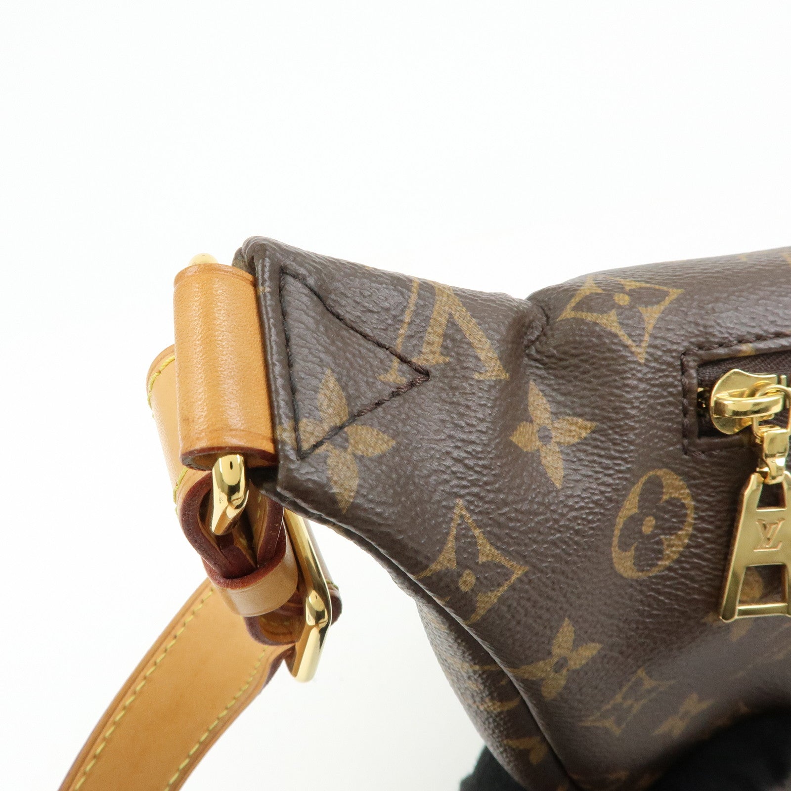 Louis Vuitton Monogram Bumbag Crossbody Shoulder Bag Brown M43644