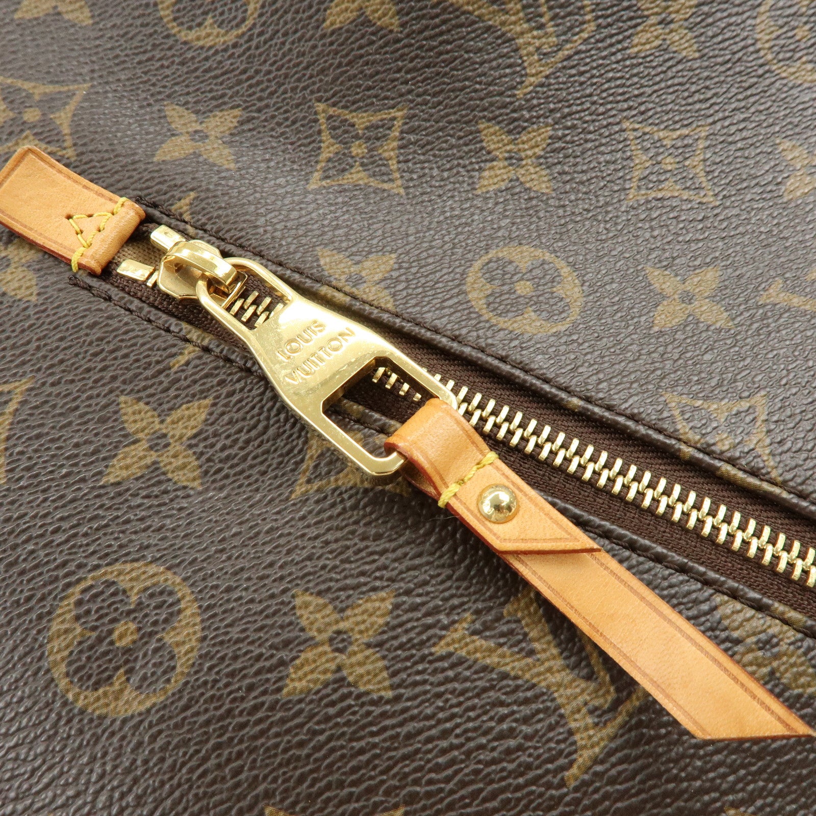 Louis Vuitton Monogram Delightful GM Shoulder Bag Brown M40354