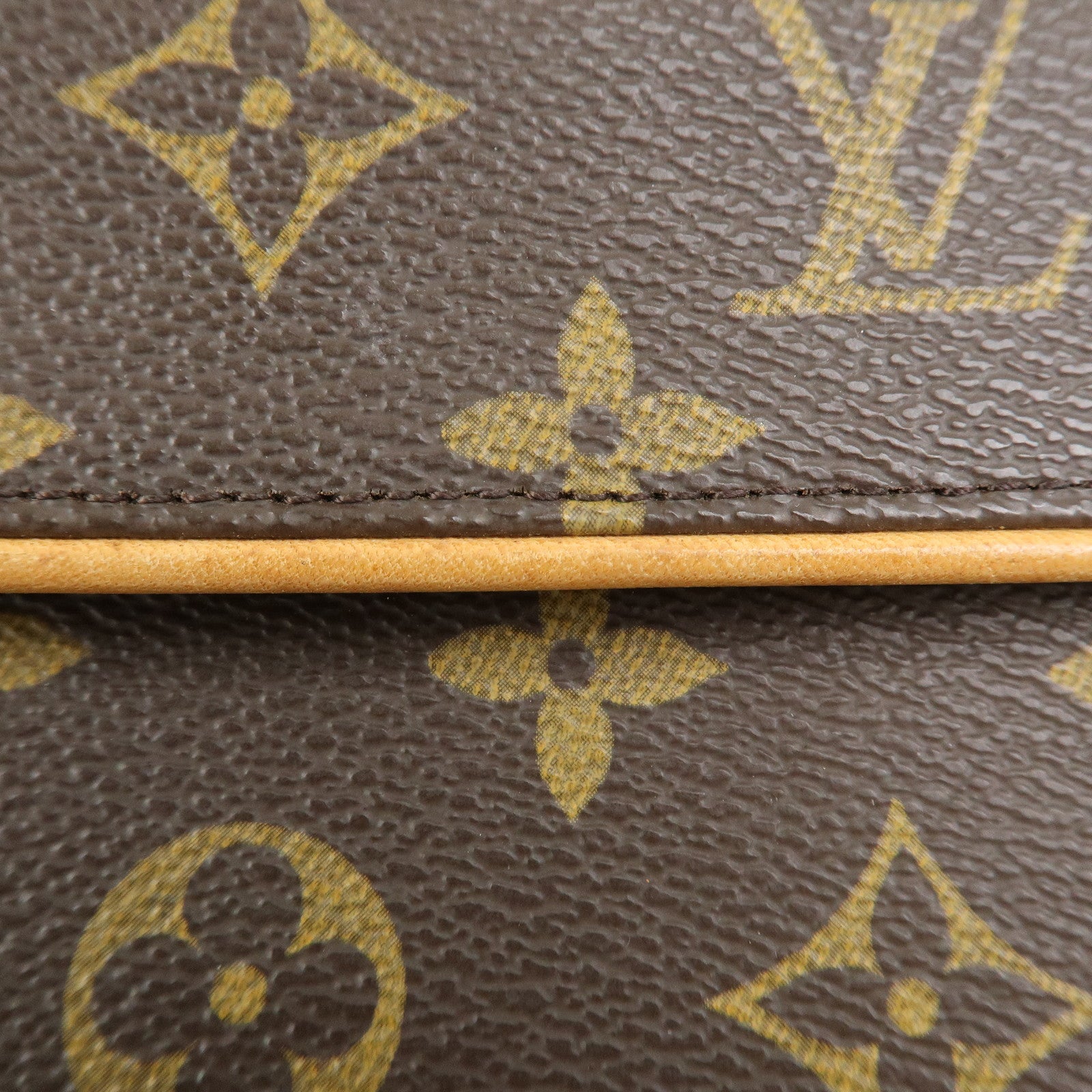 Louis Vuitton Monogram Pochette Florentine Waist Bag M51855