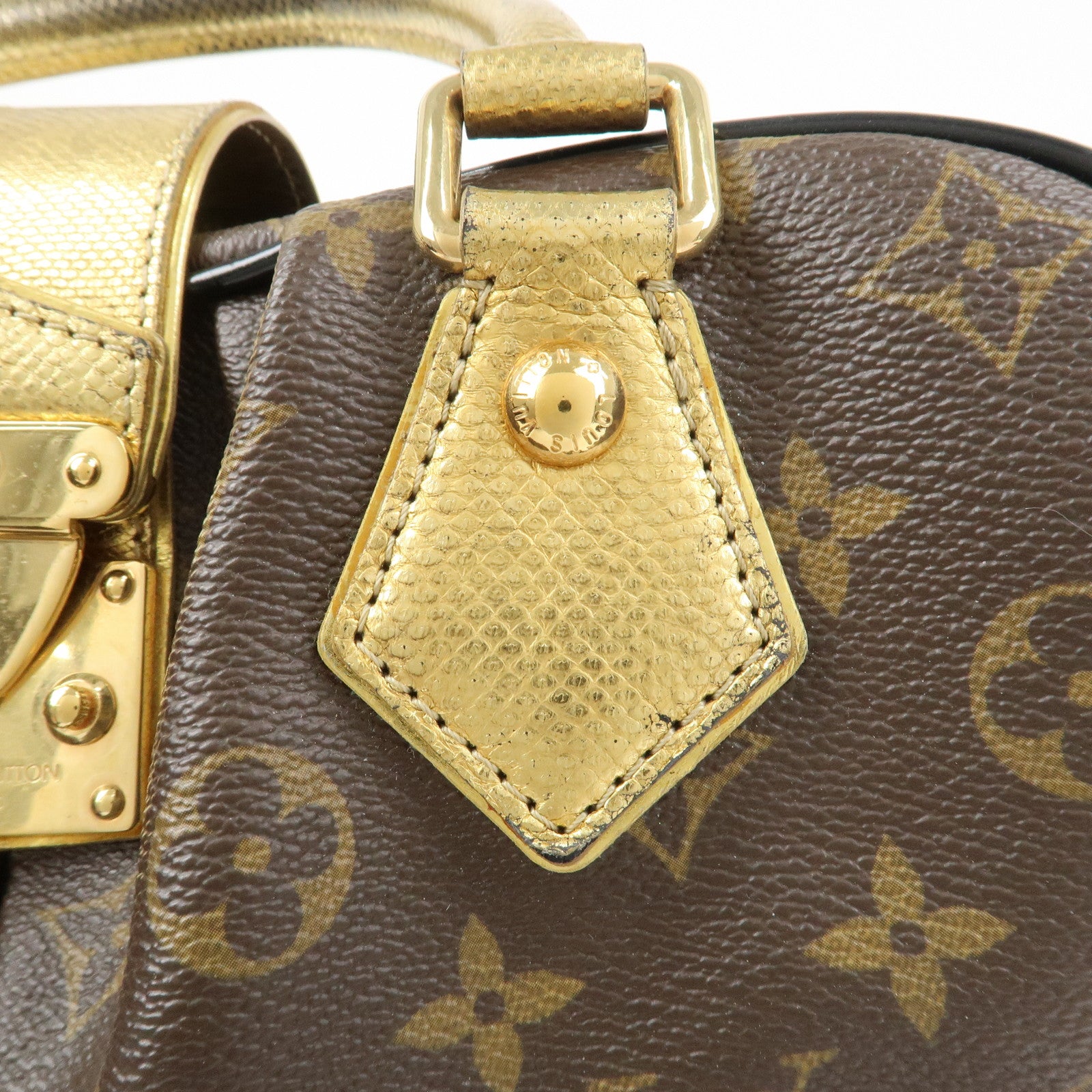 Louis Vuitton Adele Monogram Leopard Calf Leather 2 Way bag M95284