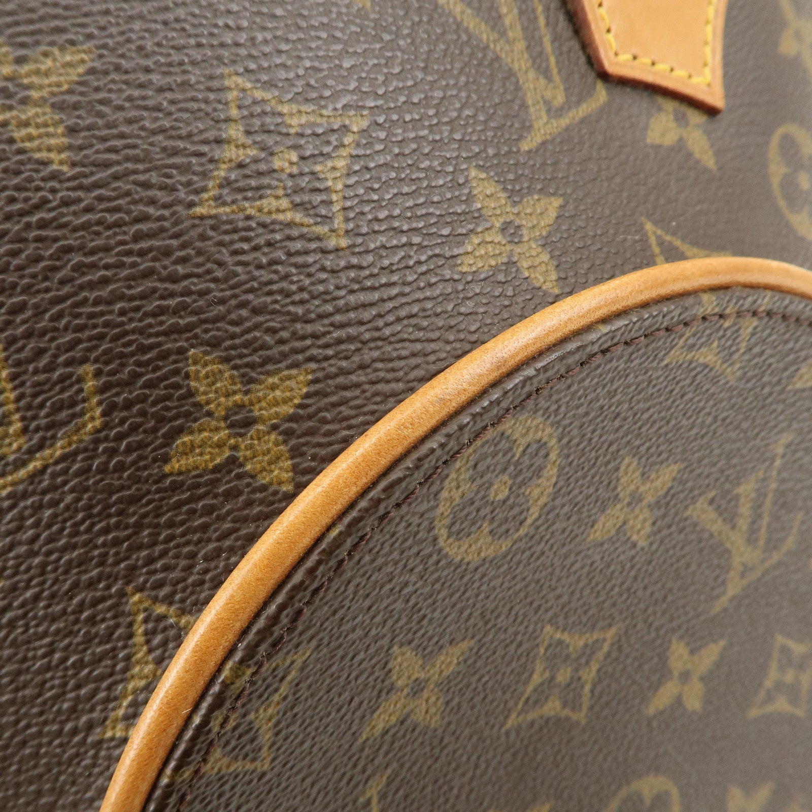 Louis Vuitton Monogram Ellipse MM Hand Bag Brown M51126