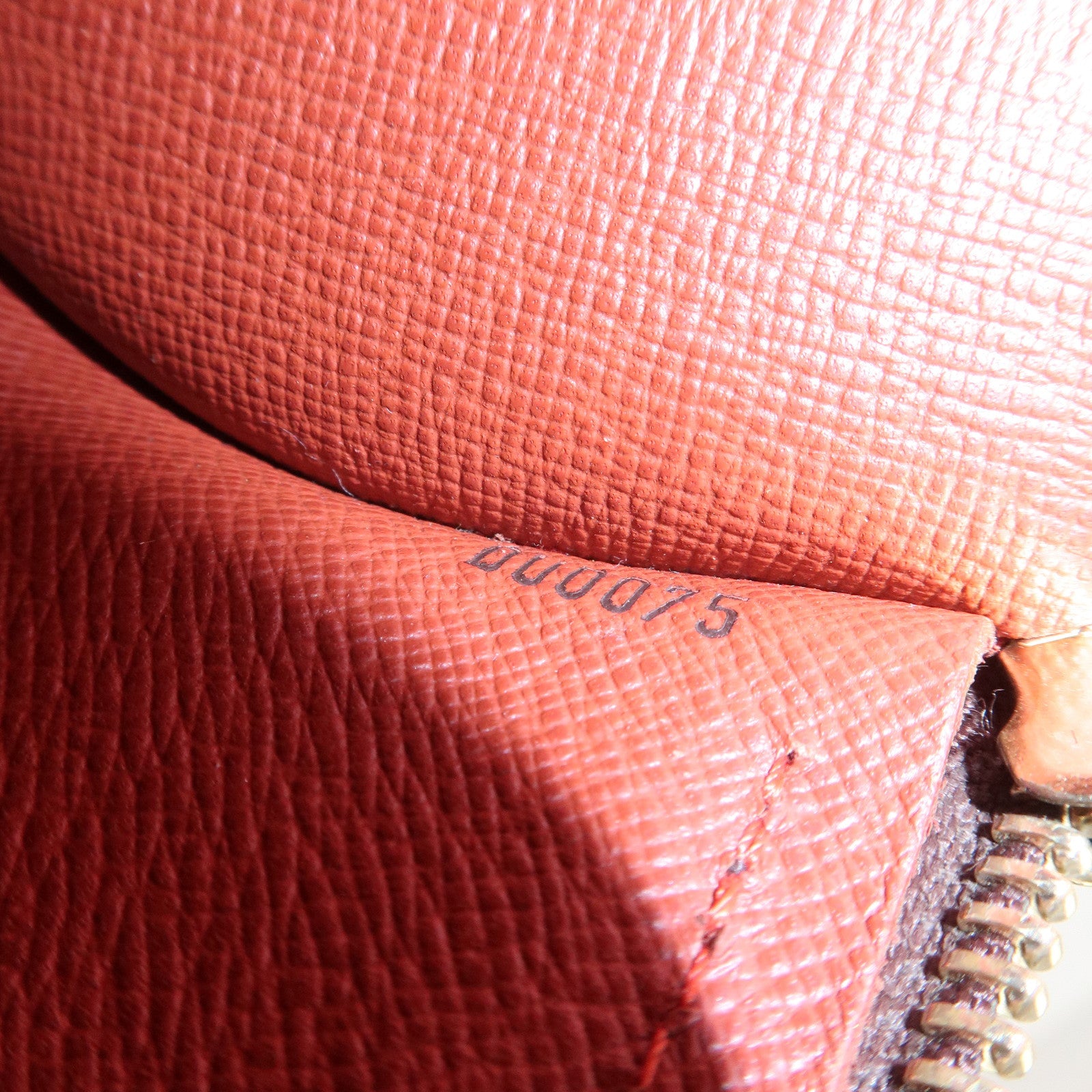 Louis Vuitton Damier Ebene Papillon 26 Hand Bag Brown N51304