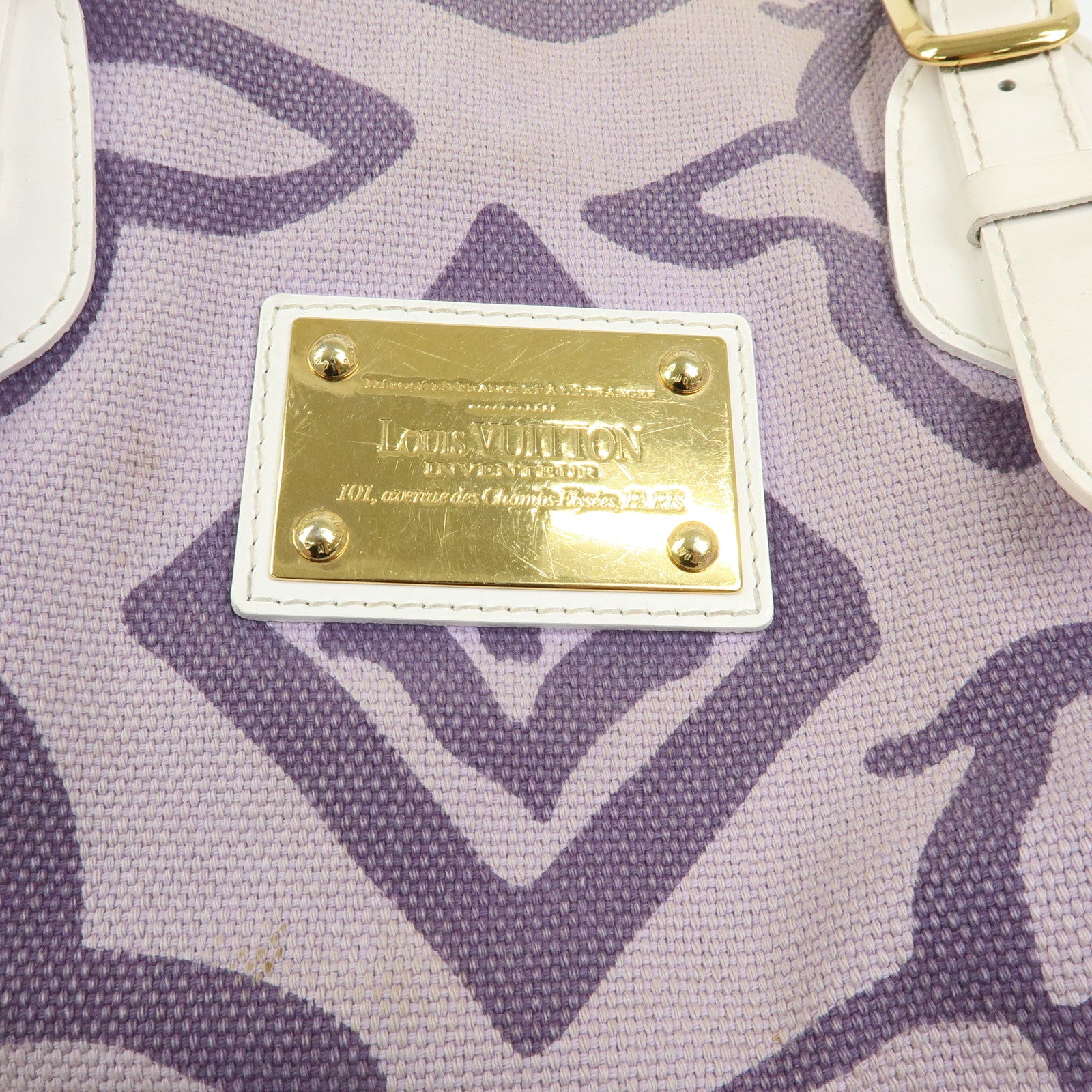 Louis Vuitton Cruise Line Tahitienne PM Canvas Tote Bag M95680