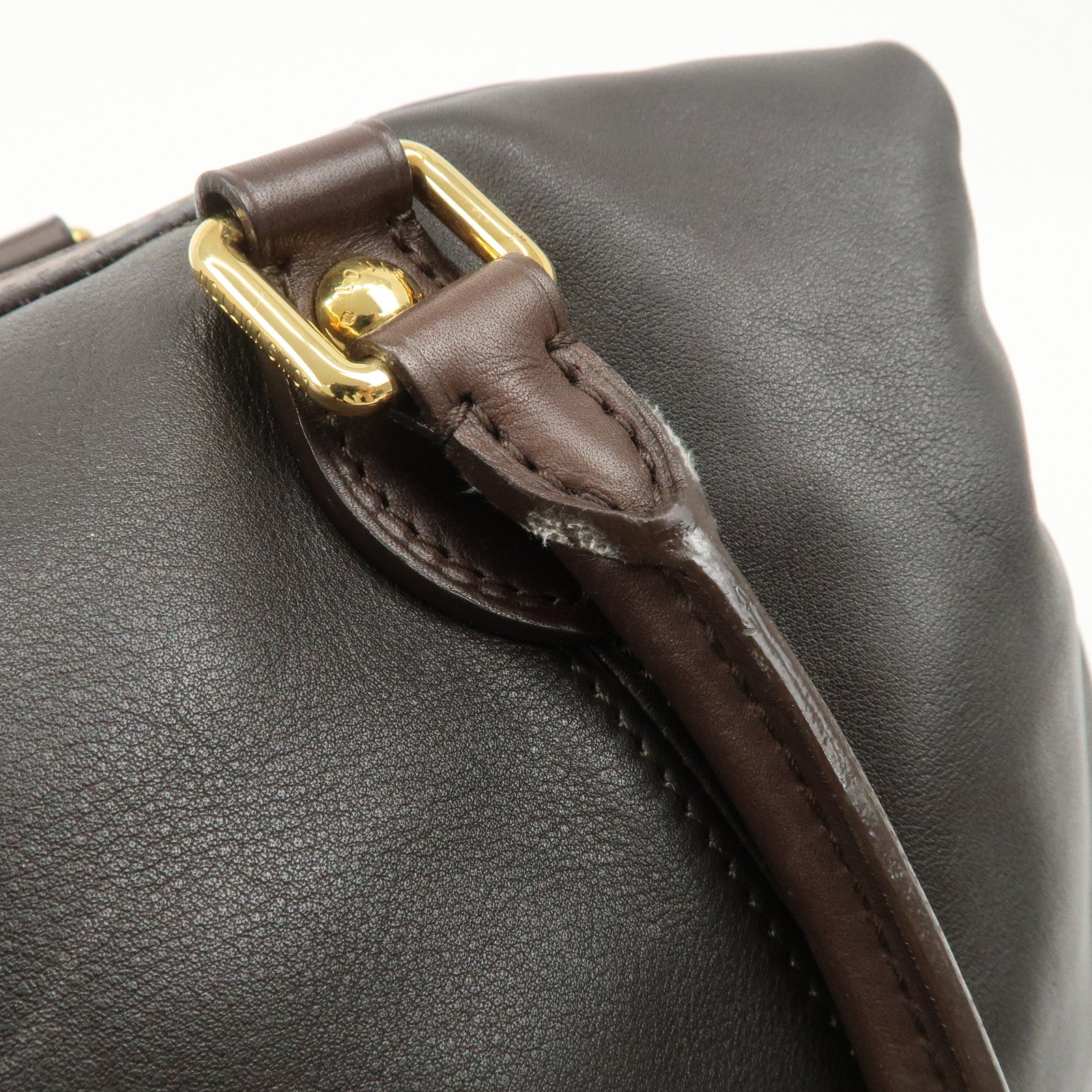 Louis Vuitton Leather Sac Louis VIP Customer Limited SPO Hand Bag