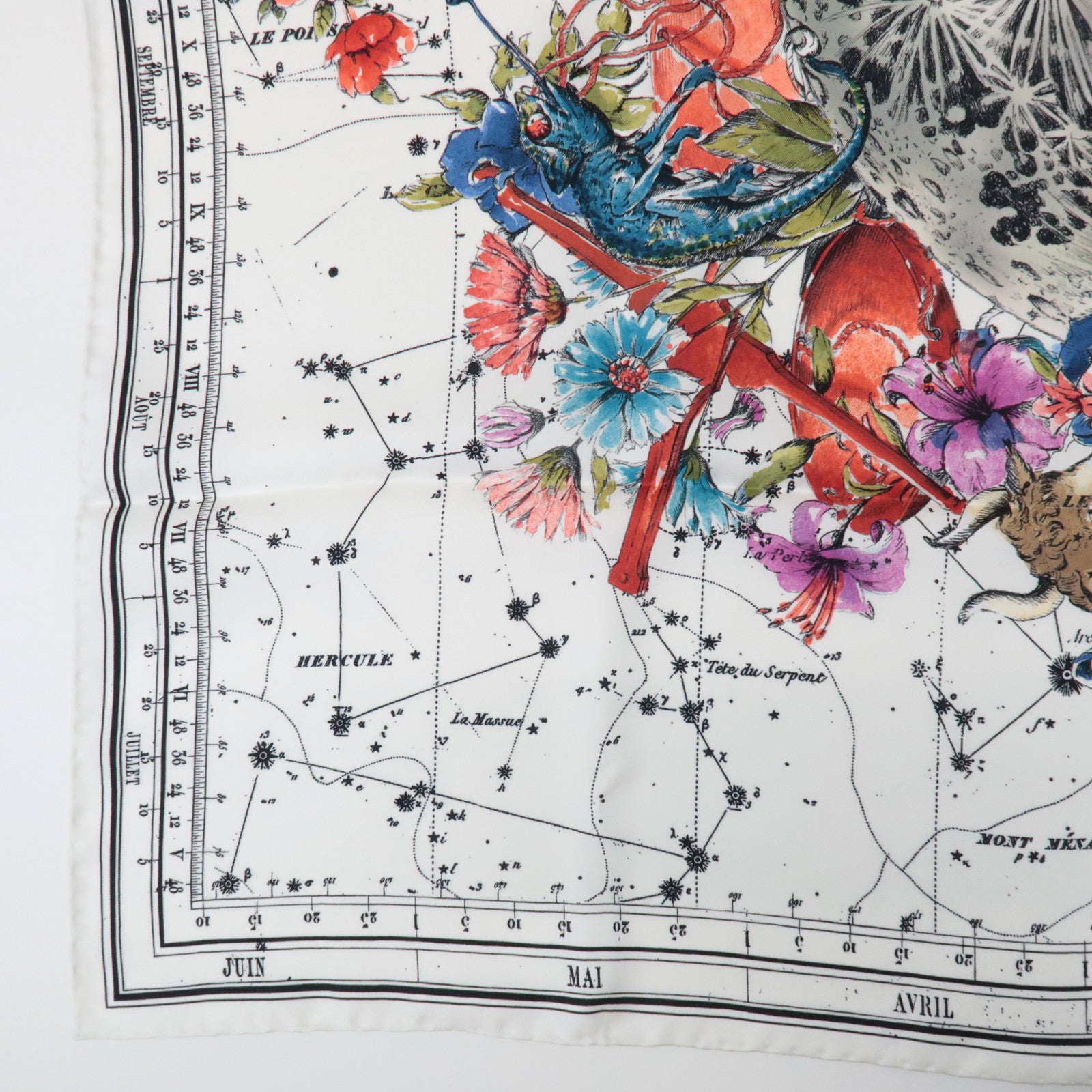 Christian Dior Silk 100% Zodiac 90 Star Constellation Floral Scarf
