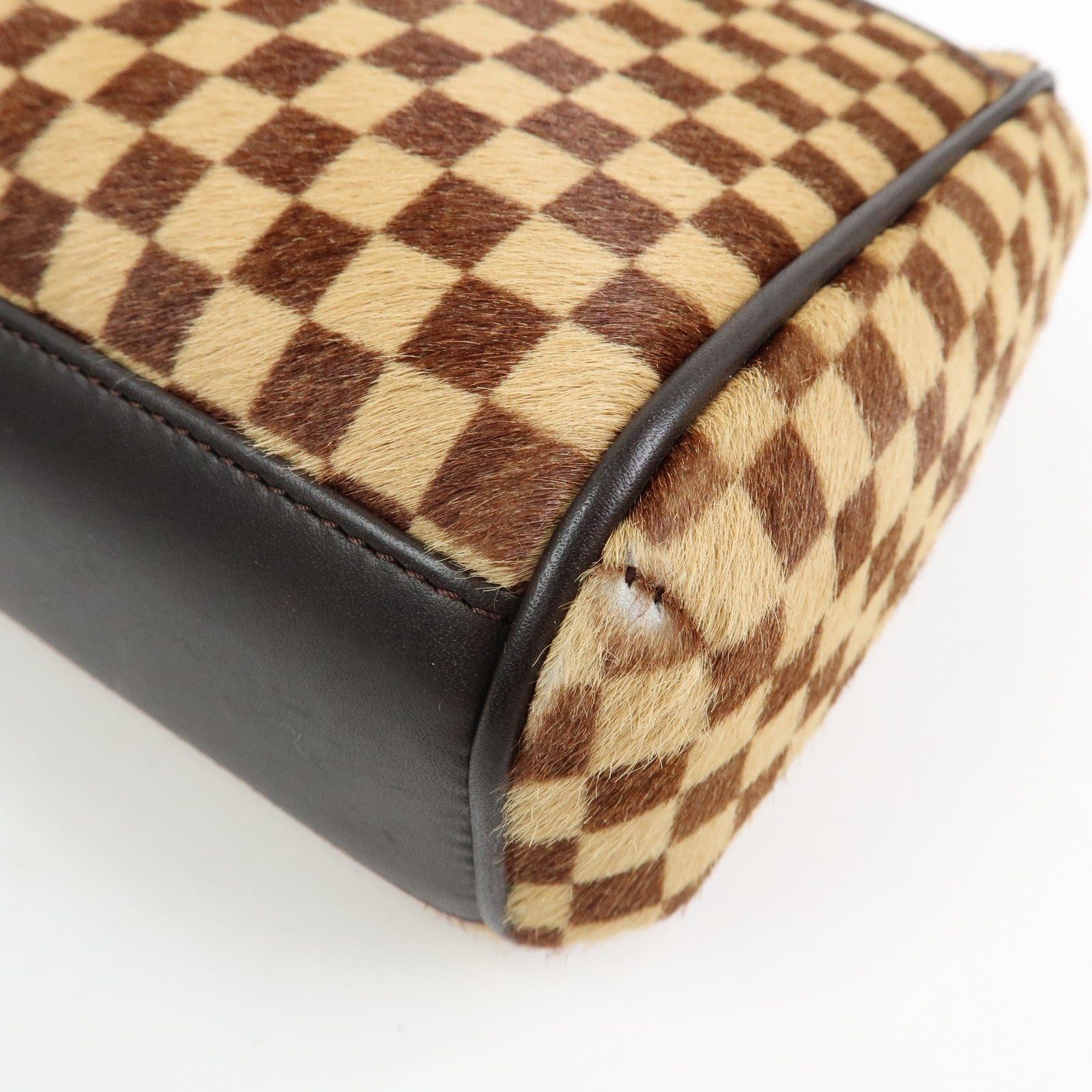 Louis Vuitton Damier Sauvage Lion Hand Bag Beige Brown M92131