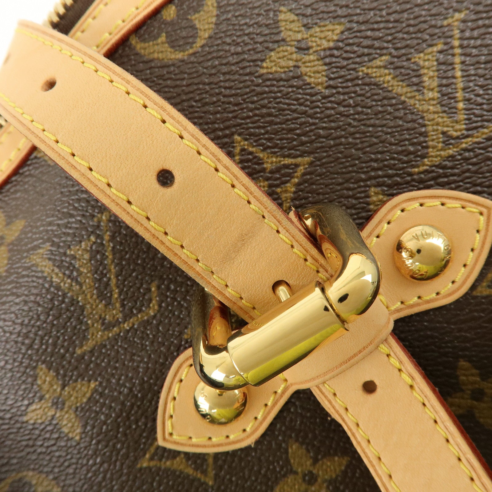 Louis Vuitton Monogram Palermo GM 2Way Hand Bag Brown M40146