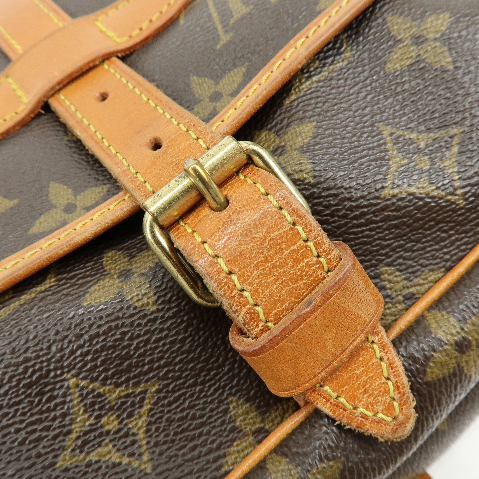 Louis Vuitton Monogram Saumur 30 Canvas Shoulder Bag Brown M42256