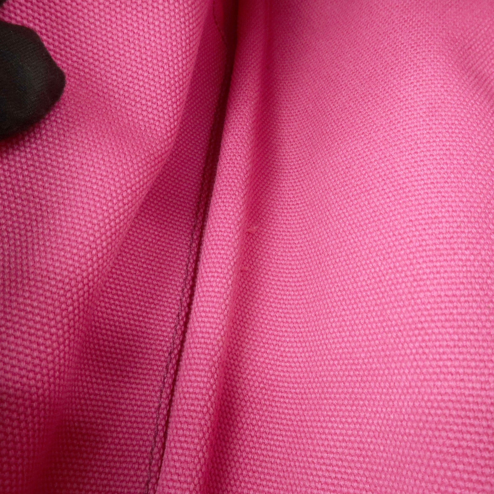 PRADA Logo Canapa Mini Canvas Hand Bag Tote Bag Pink BN2439