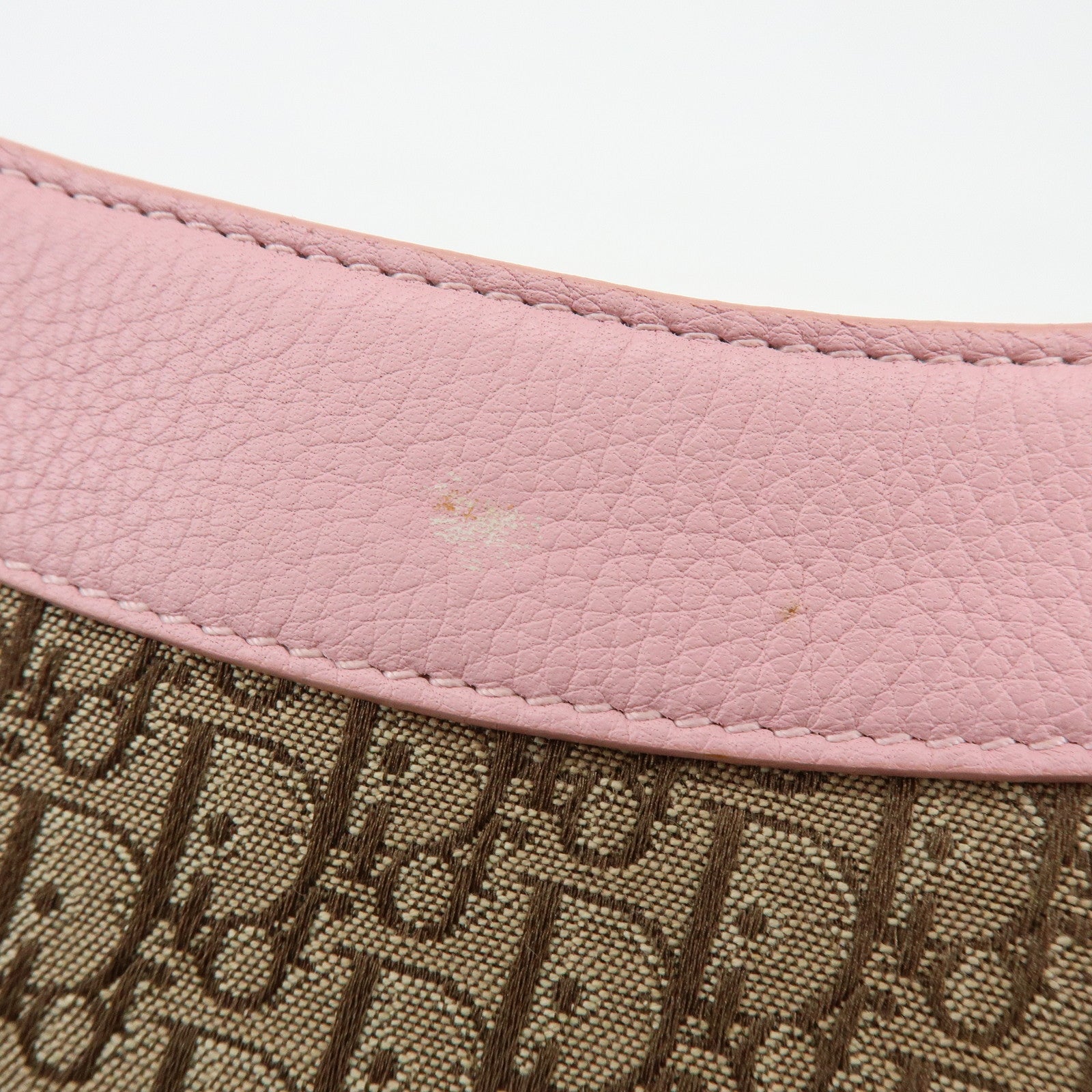 Christian Dior Street Chic Trotter Canvas Leather Shoulder Bag