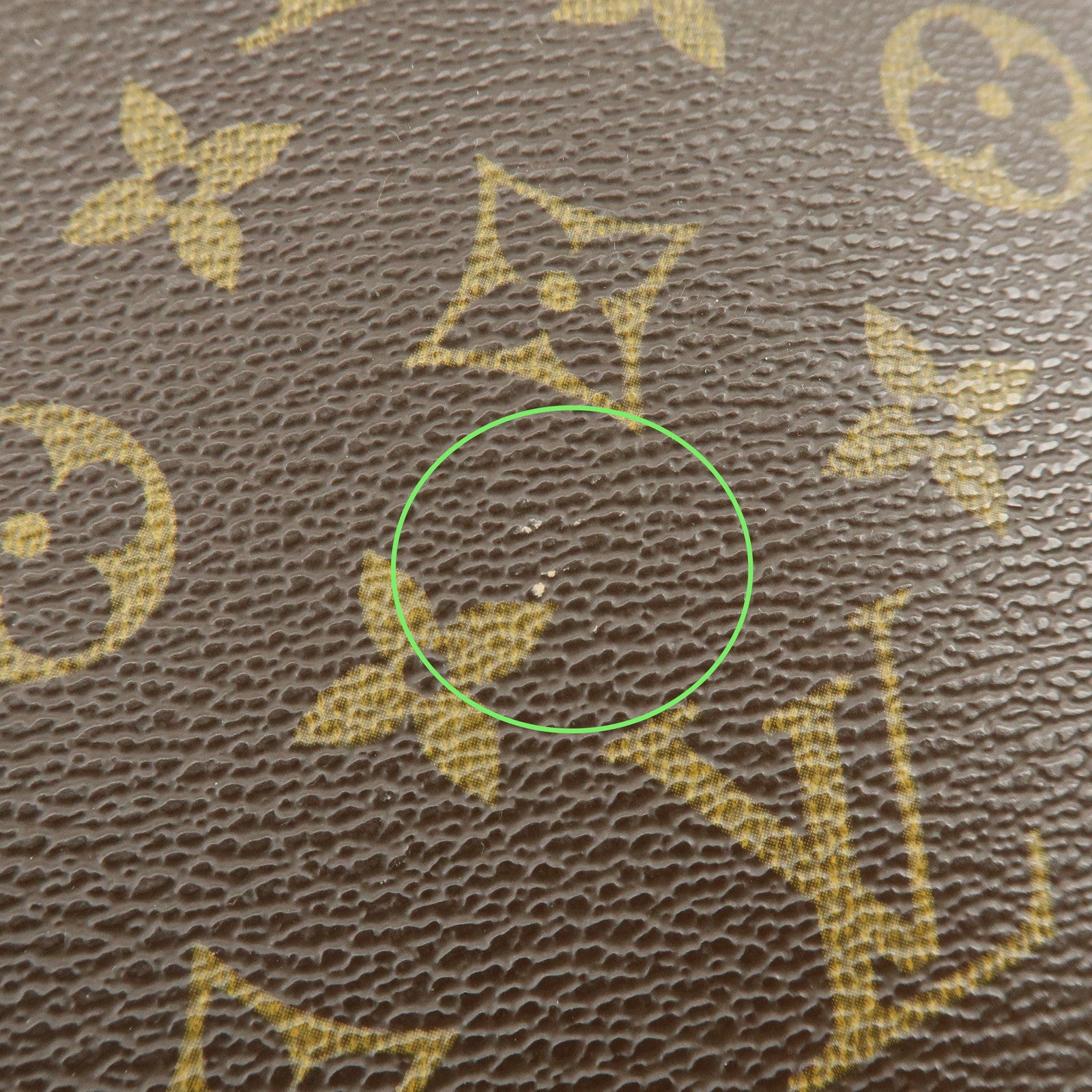 Louis Vuitton Monogram Excursion Shoes Case Hand Bag M41450