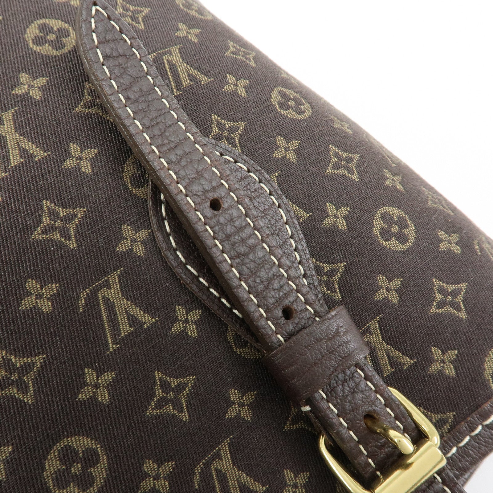 Louis Vuitton Monogram Mini Lin Bucket PM Tote Bag Ebene M95226
