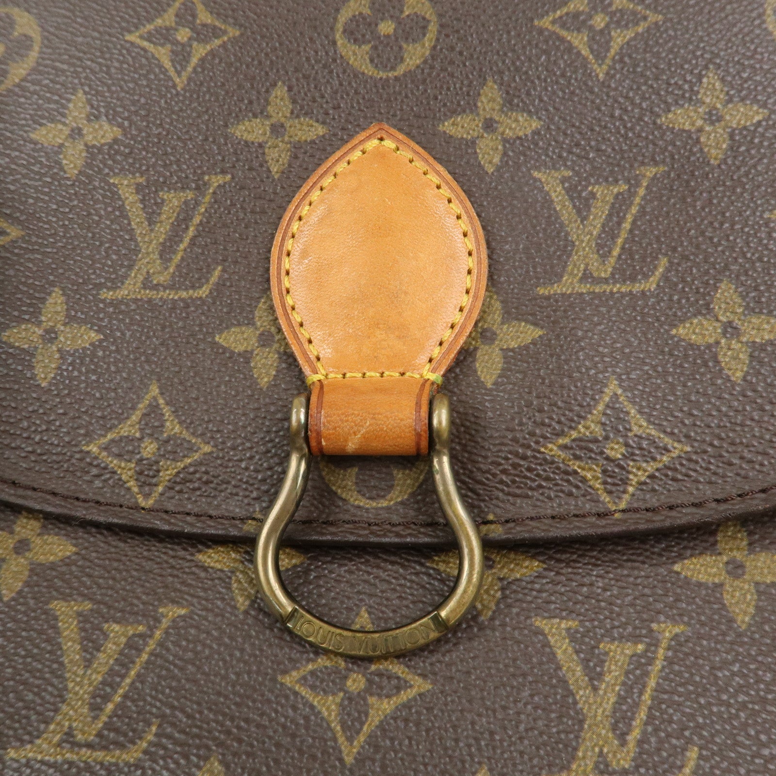 Louis Vuitton Monogram Mini Saint Cloud PM Shoulder Bag M51244