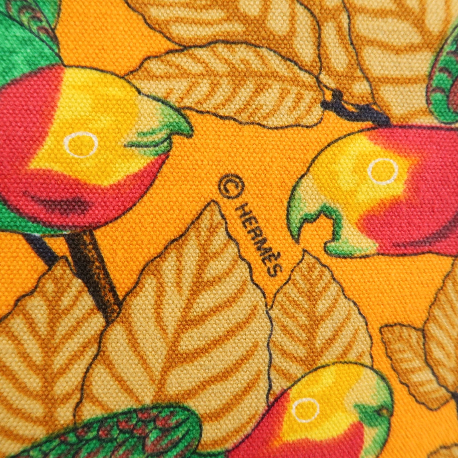 HERMES  Cotton Canvas Tote Bag Shoulder Bag Parrot Pattern Orange Green Used