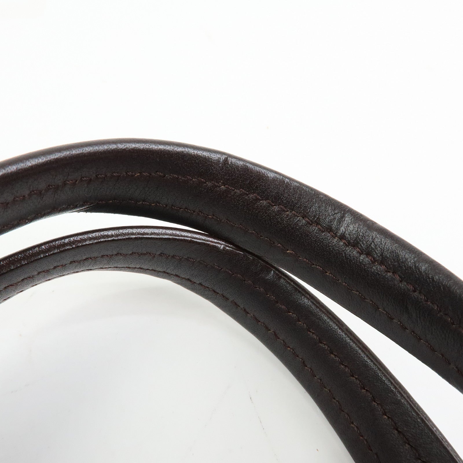 Louis Vuitton Damier Sauvage Lion Hand Bag Beige Brown M92131