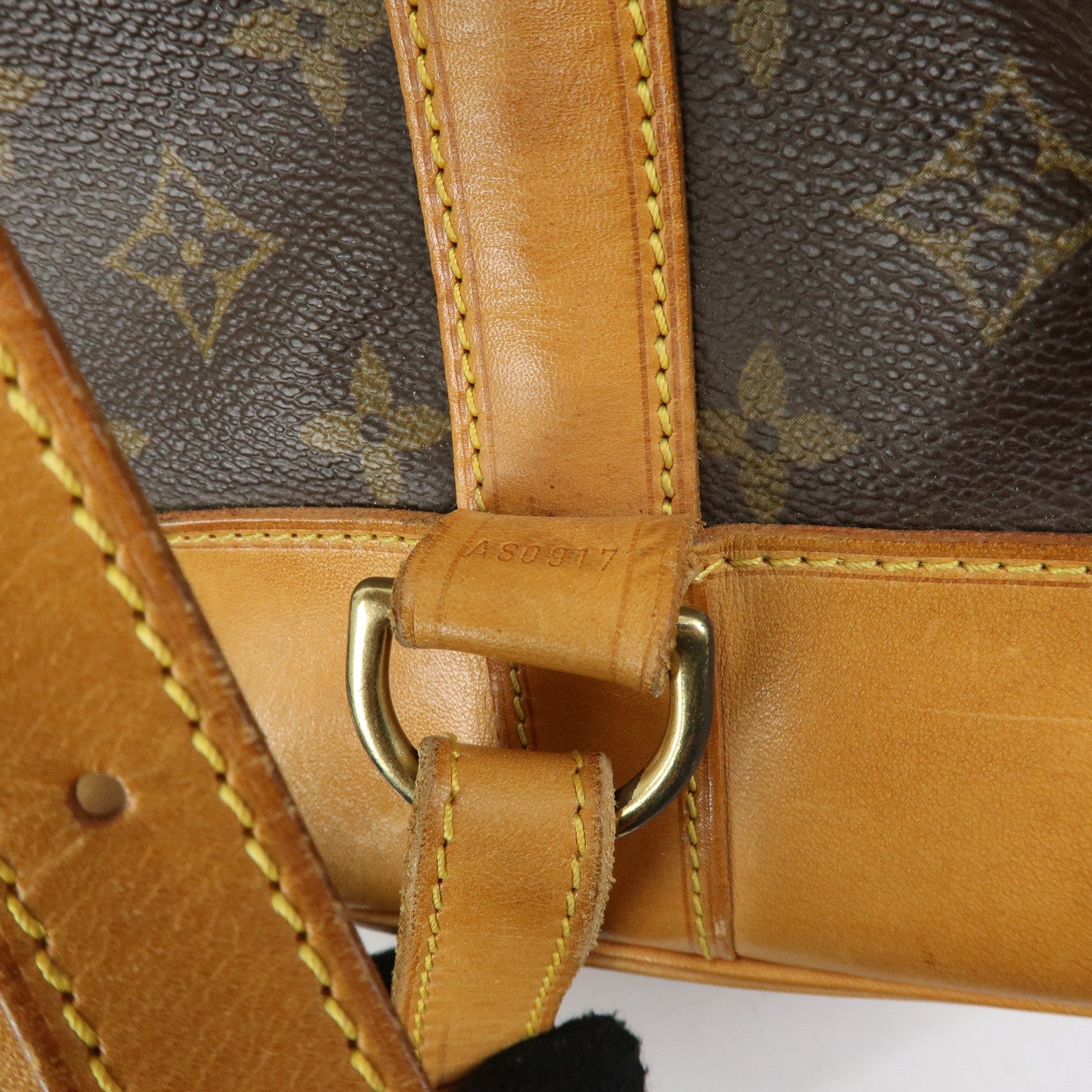Louis Vuitton Monogram Randonnee PM Shoulder Bag Brown M42243